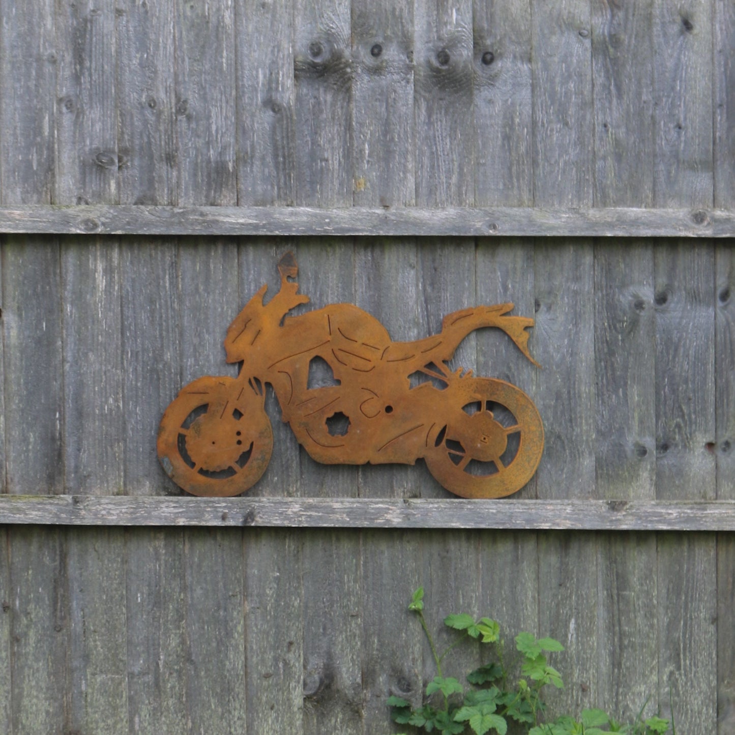 Kawasaki Z1000 Motorcycle Wall Art