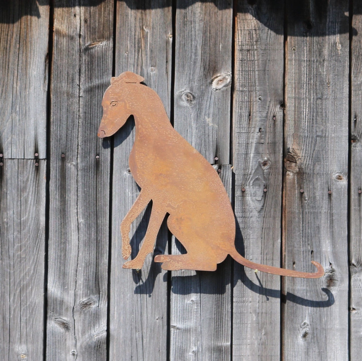 Greyhound, Whippet, Lurcher Wall Art