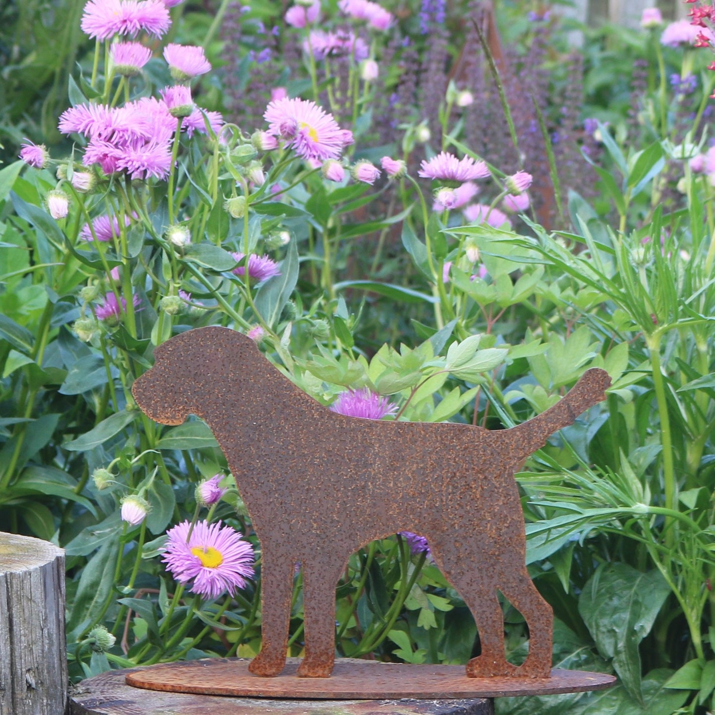 Border Terrier Dog Statue 'Nancy'