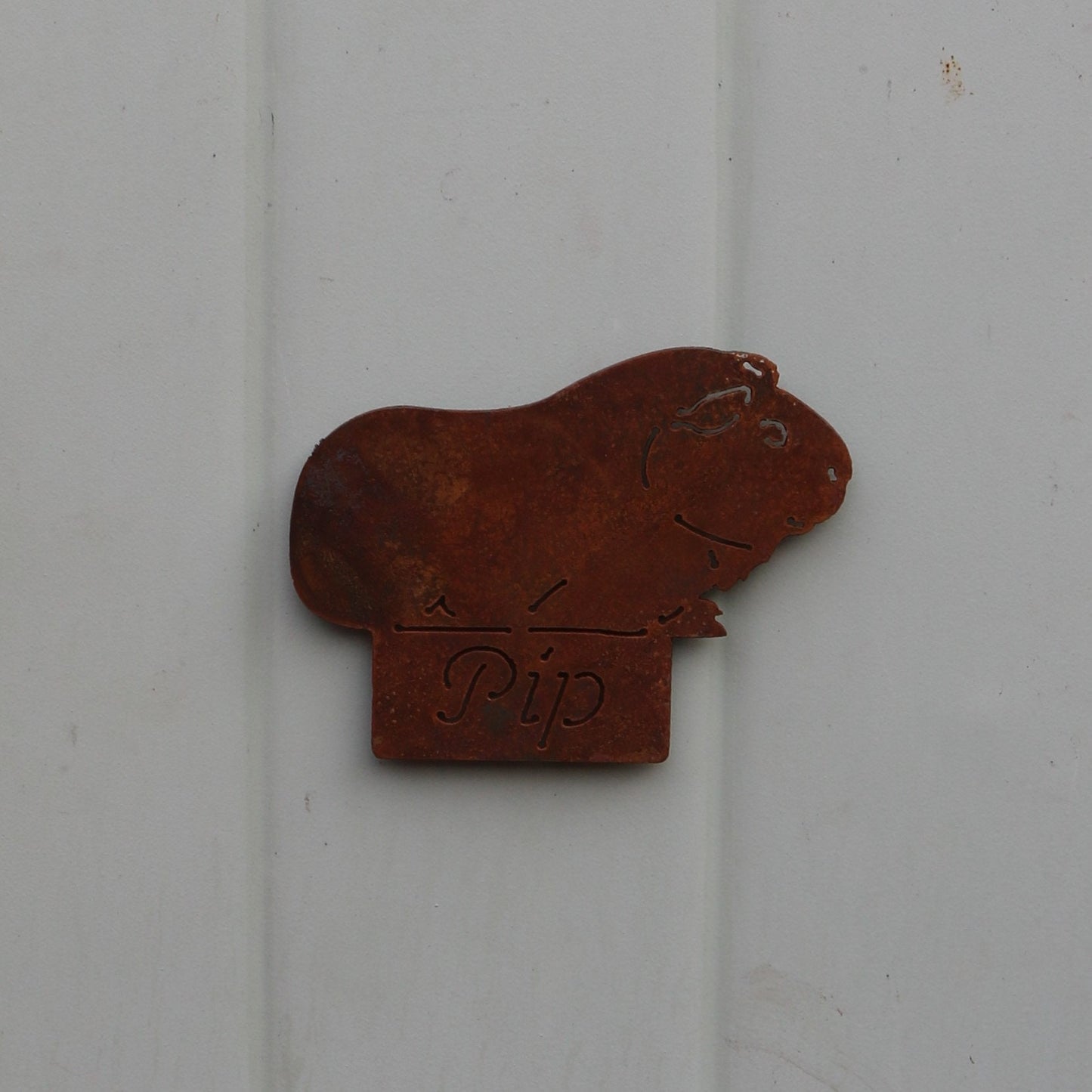 Personalised Guinea Pig Hutch Sign