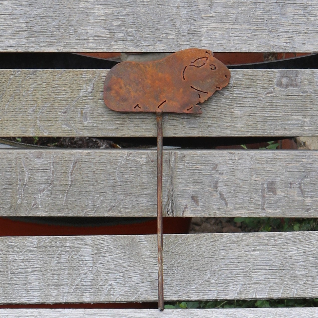 Guinea Pig Plant Pot Decoration