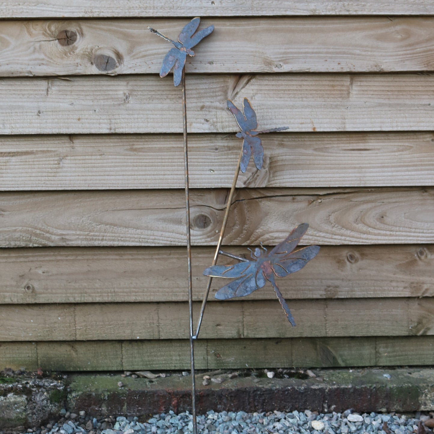 Dragonflies On Spike