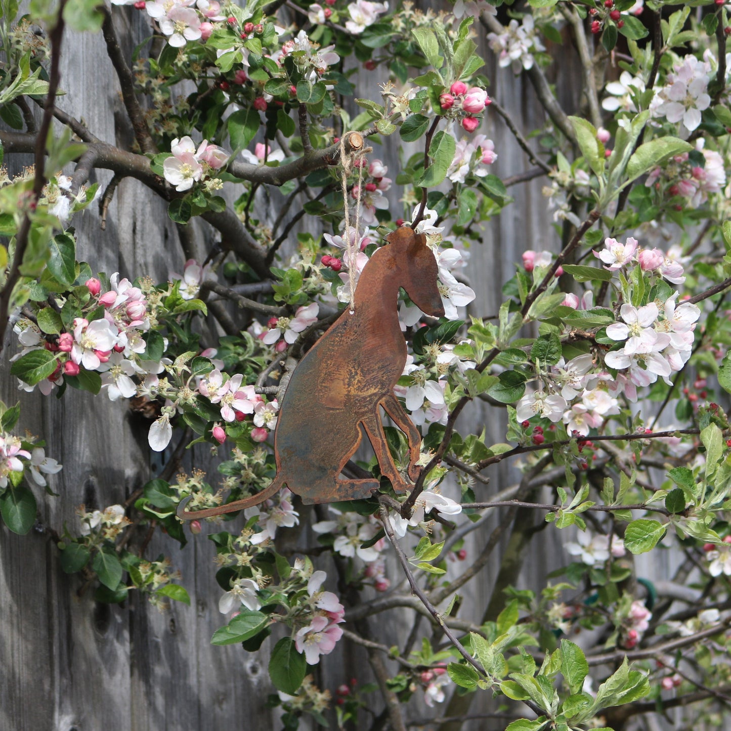 Hanging Greyhound, Whippet, Lurcher