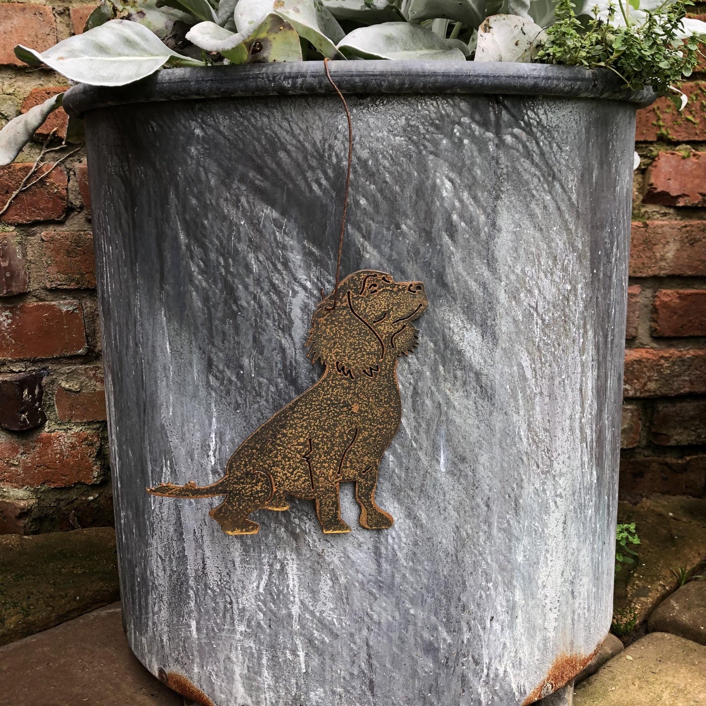 Hanging Working Cocker Spaniel