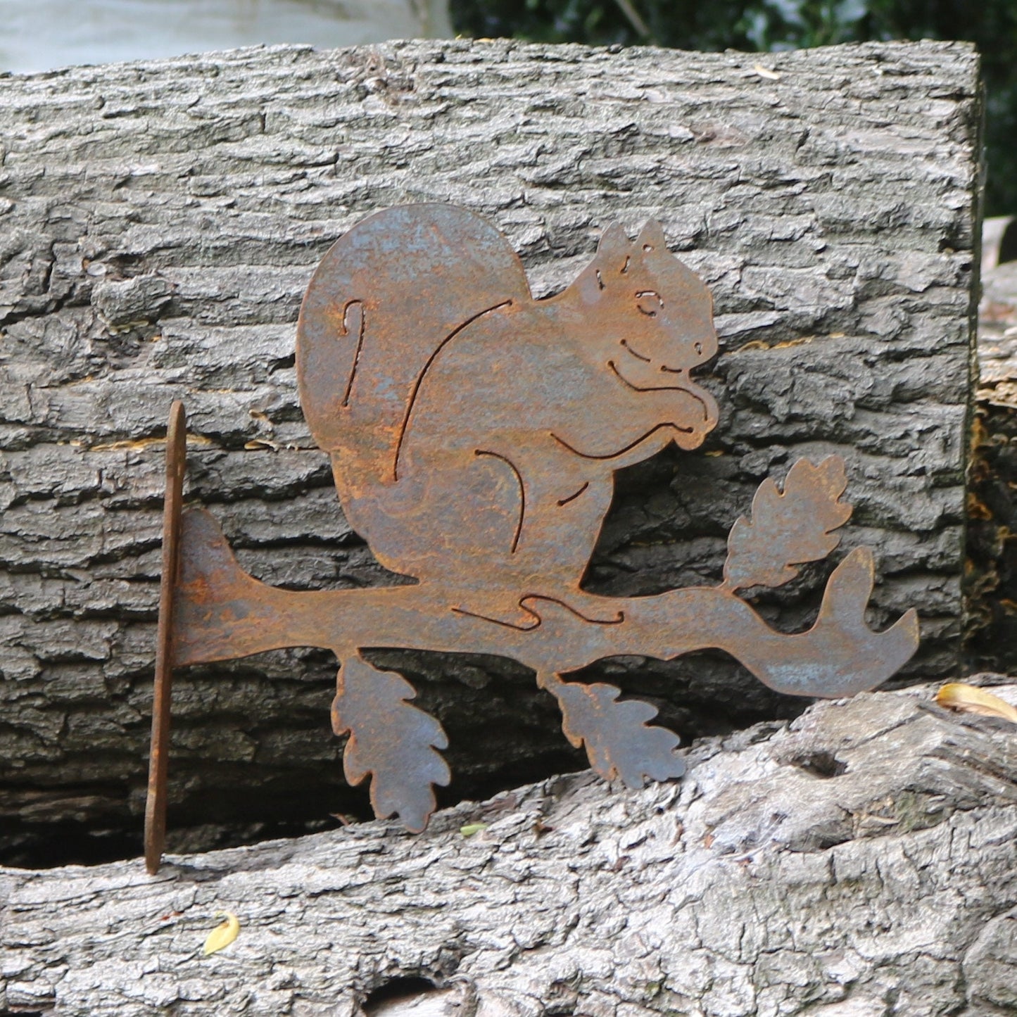 Squirrel Wall Bracket