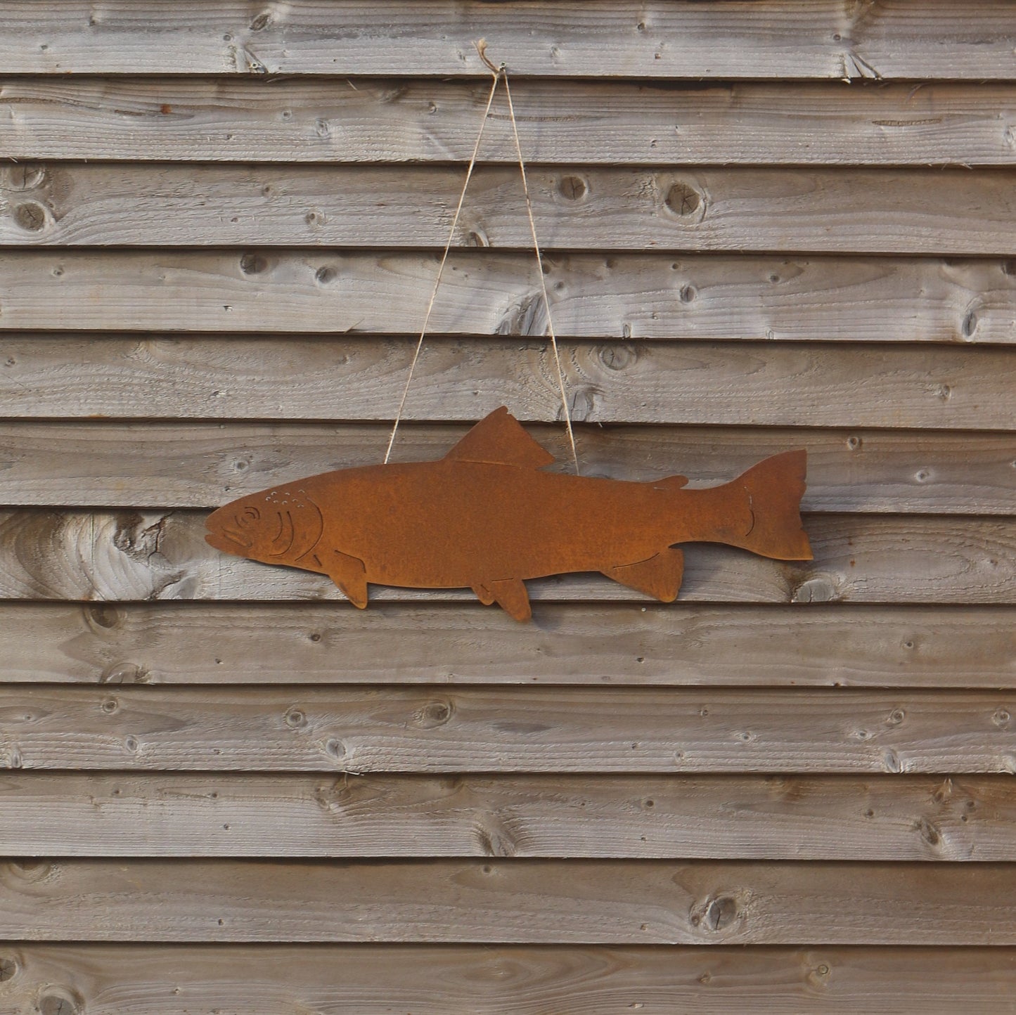 Trout Wall Art