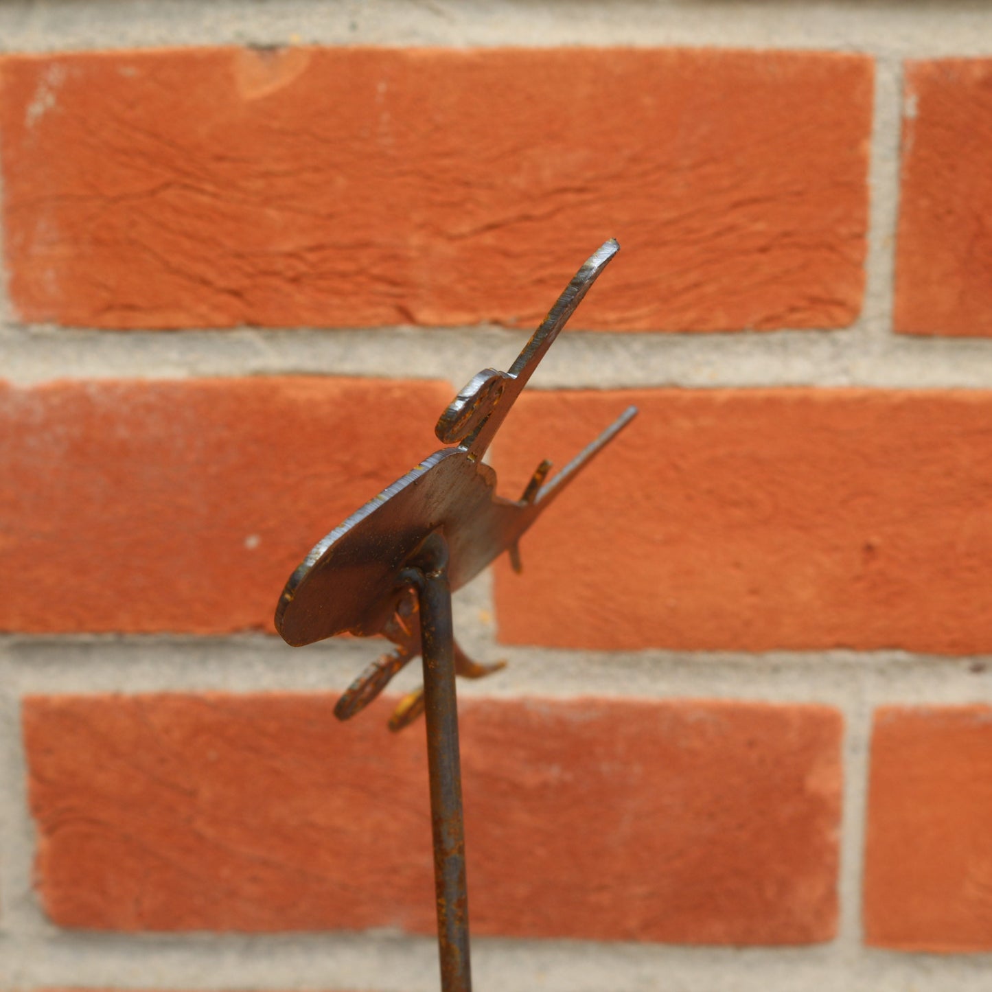 Boeing 747 Aeroplane On Spike