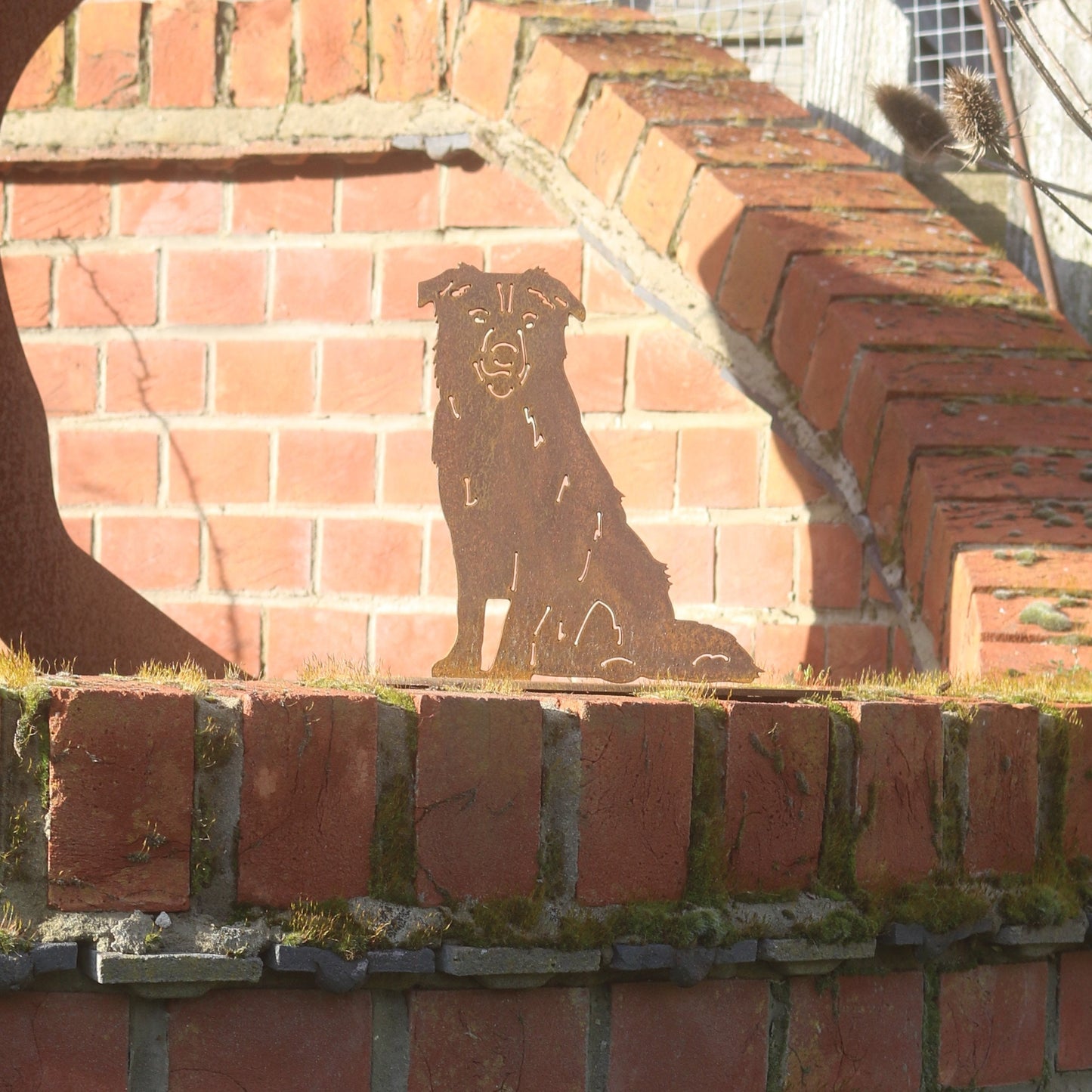 Border Collie Sheepdog Statue