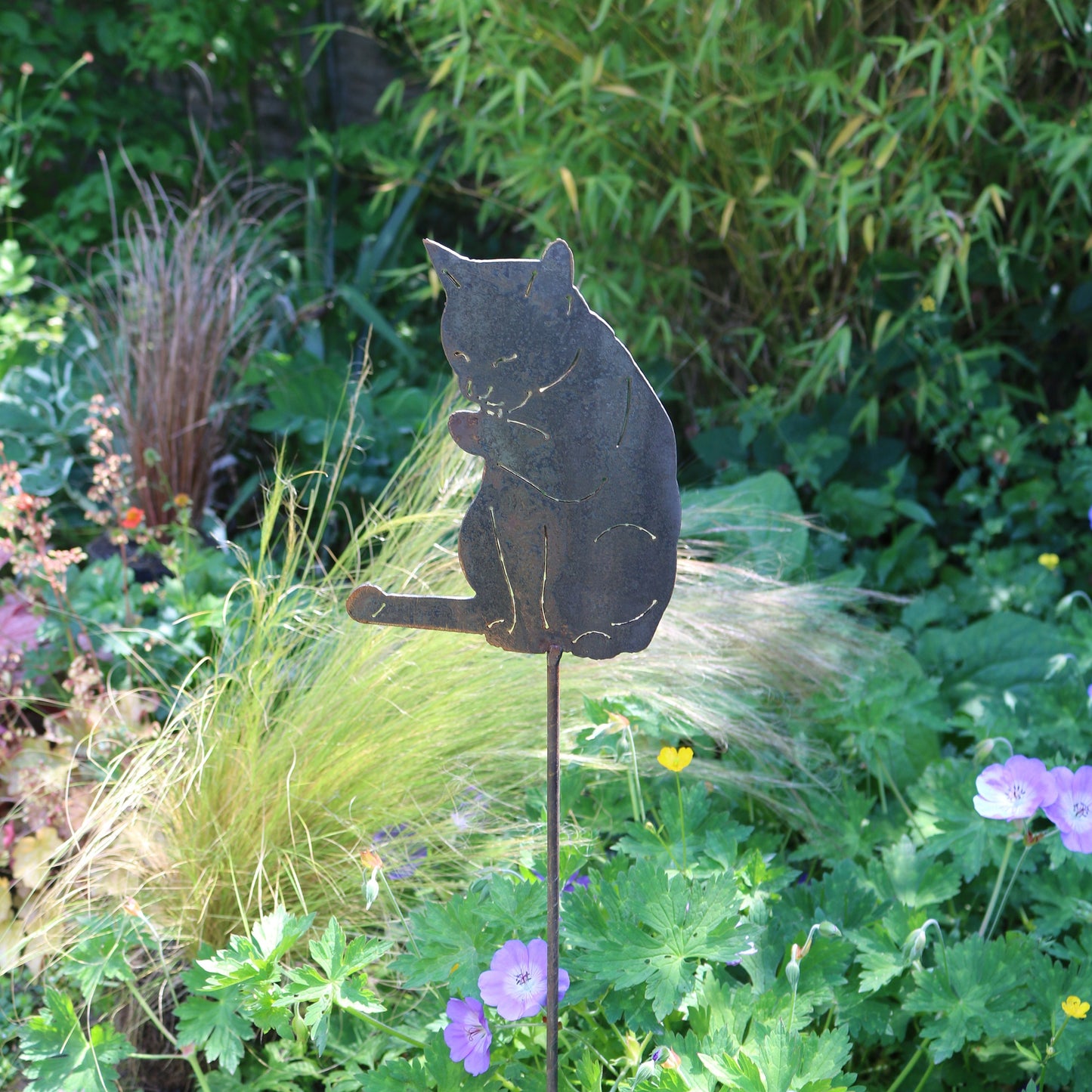 Cat Licking Its Paw On Spike