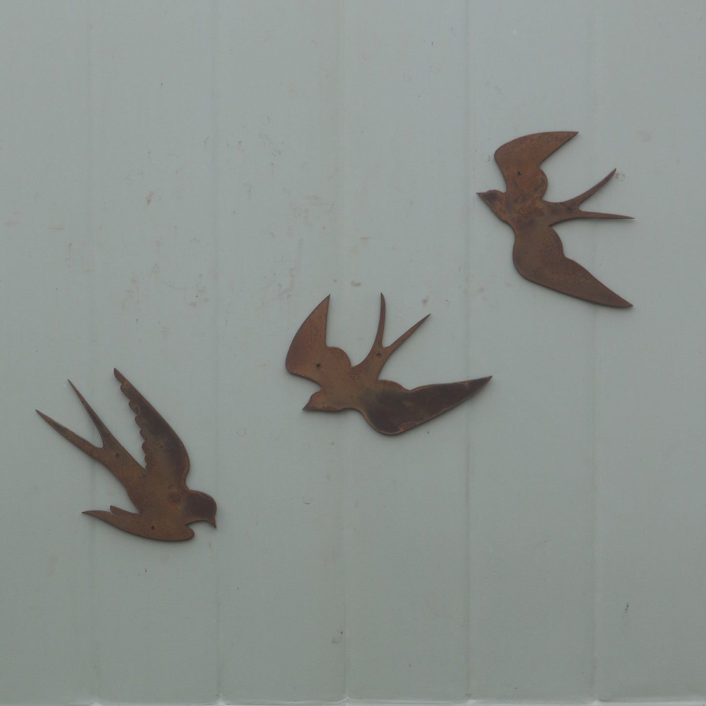 Swallow Wall Art- Set Of 3