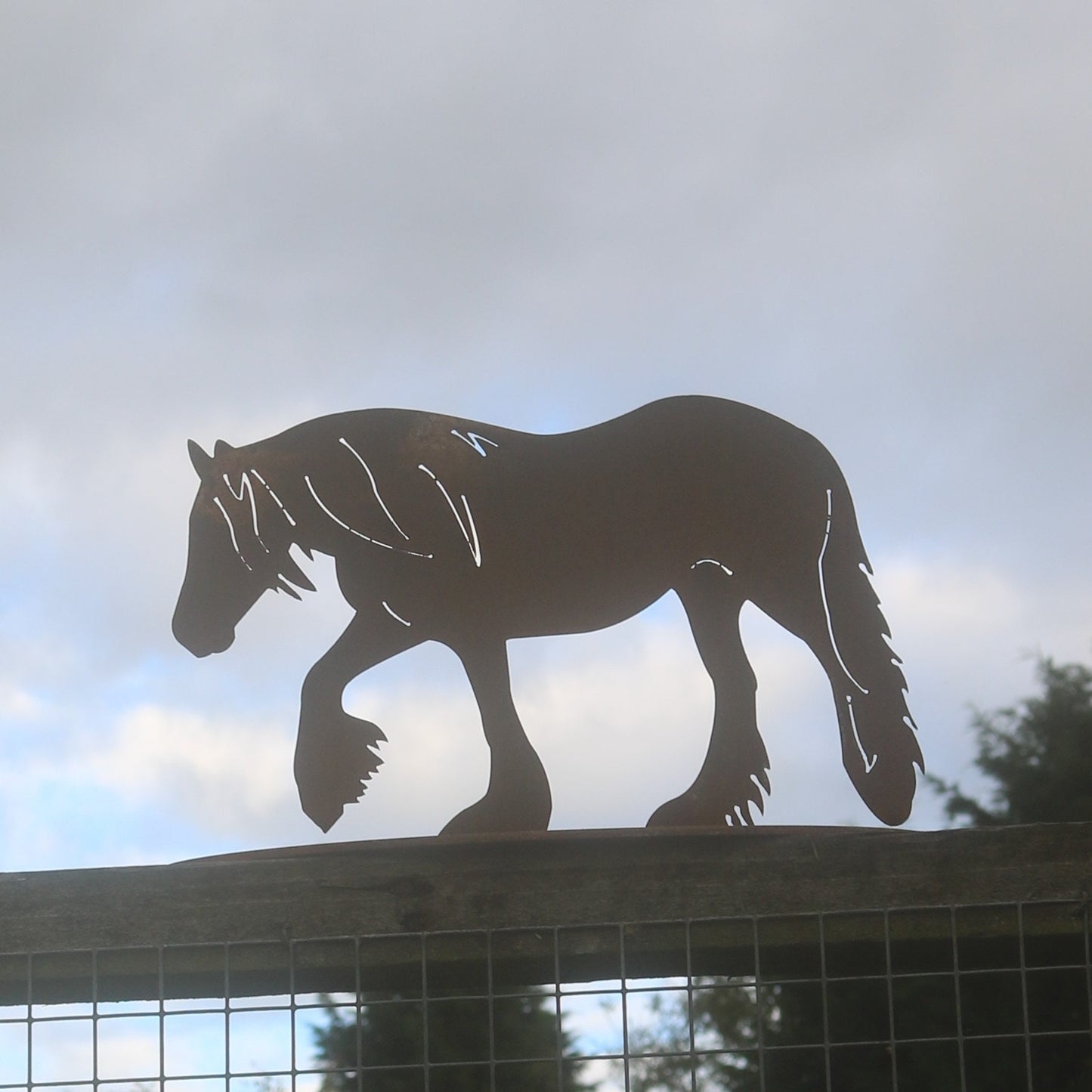 Gypsy Cob Horse Statue 'Lily'