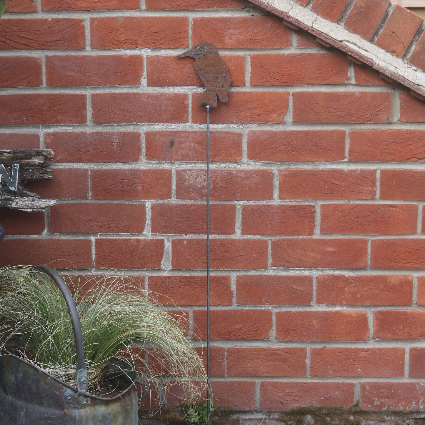 Kingfisher Bird On Spike