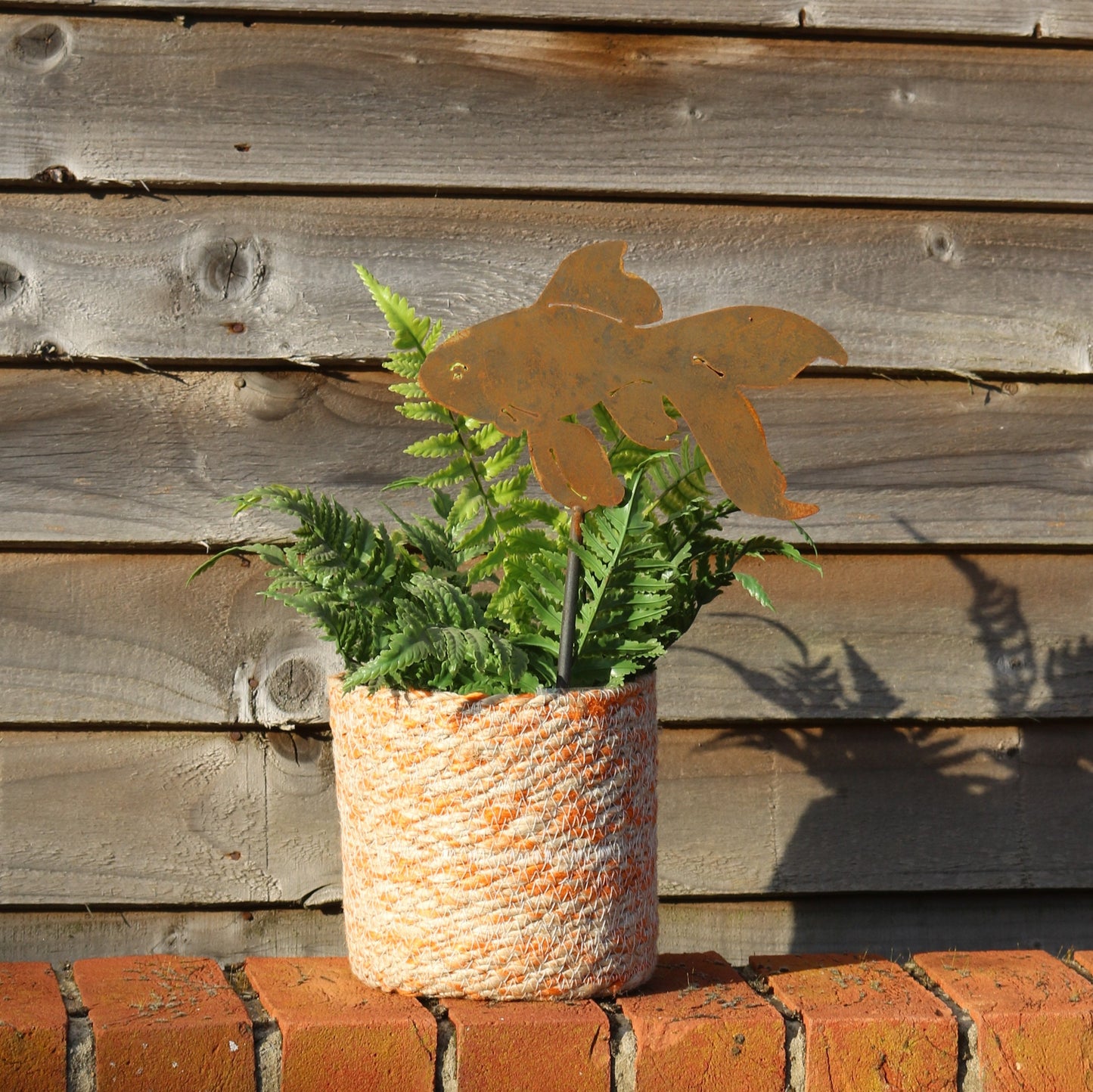 Goldfish Plant Pot Decoration