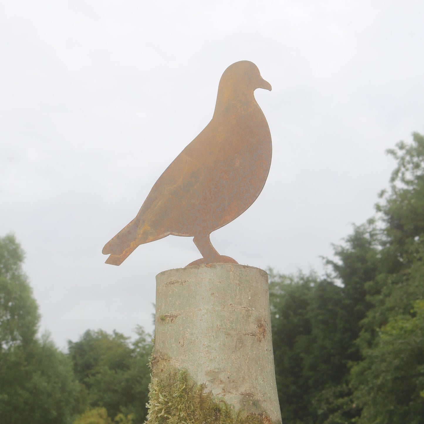 Pigeon Post Topper