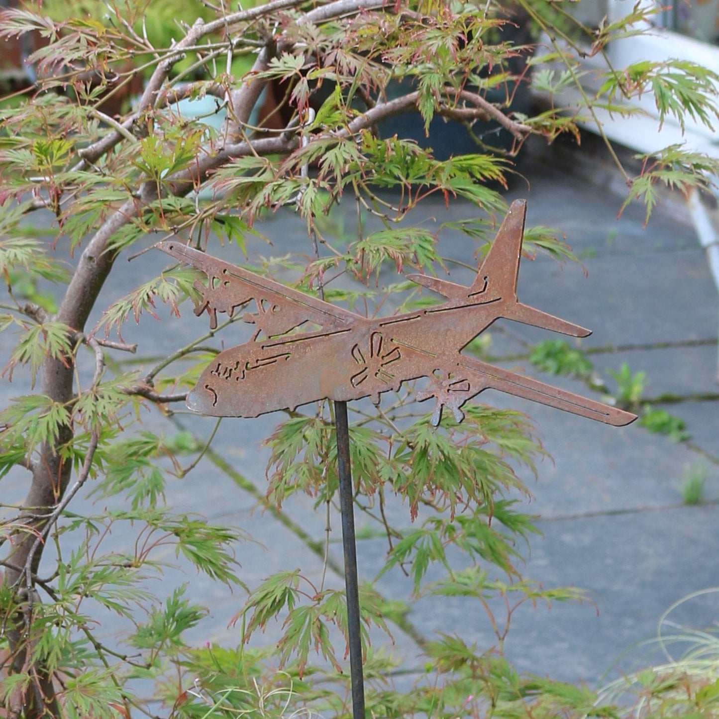 Lockheed C-130 Hercules Aeroplane On Spike