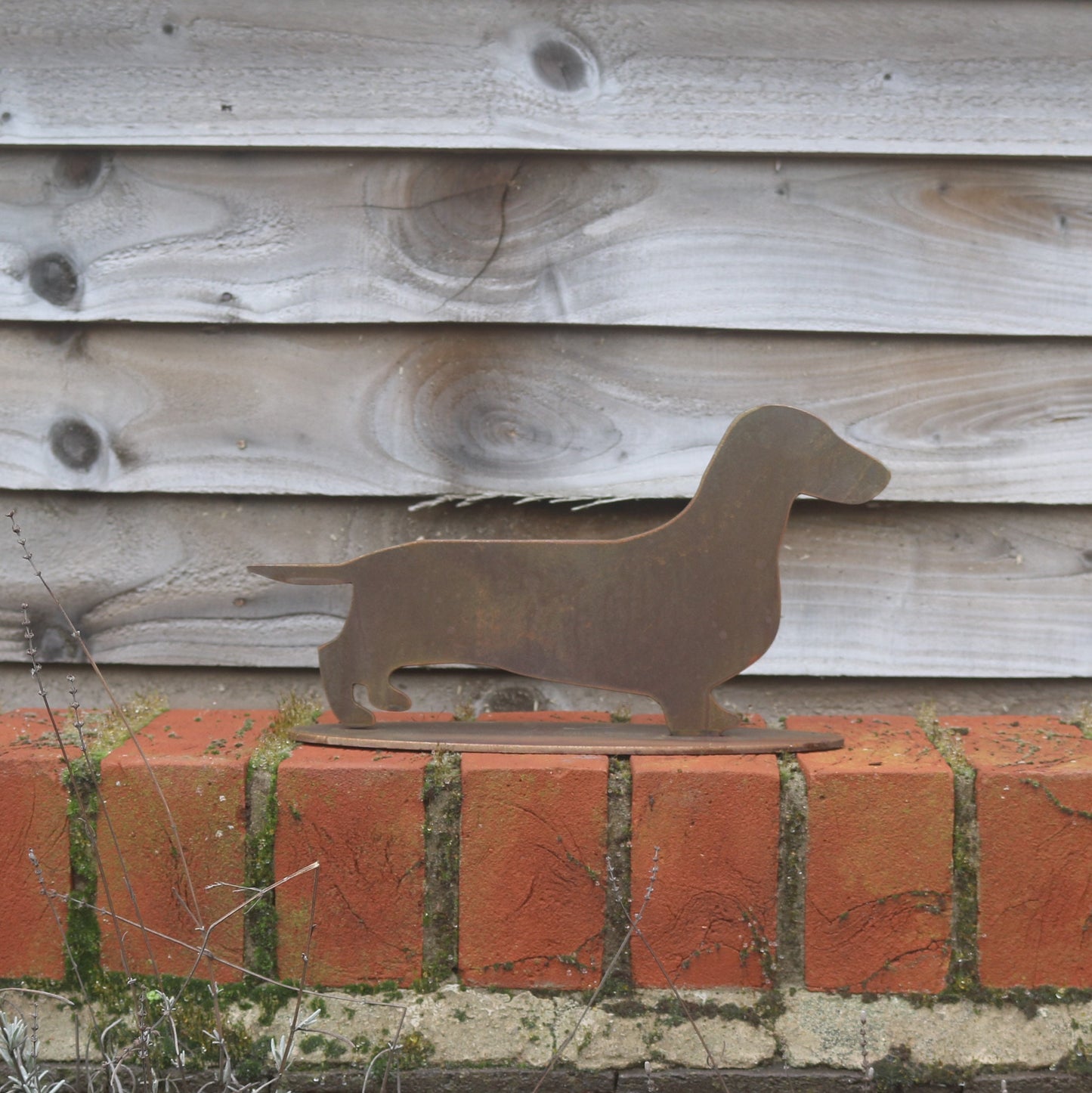 Dachshund/Sausage Dog 'Daisy' Statue
