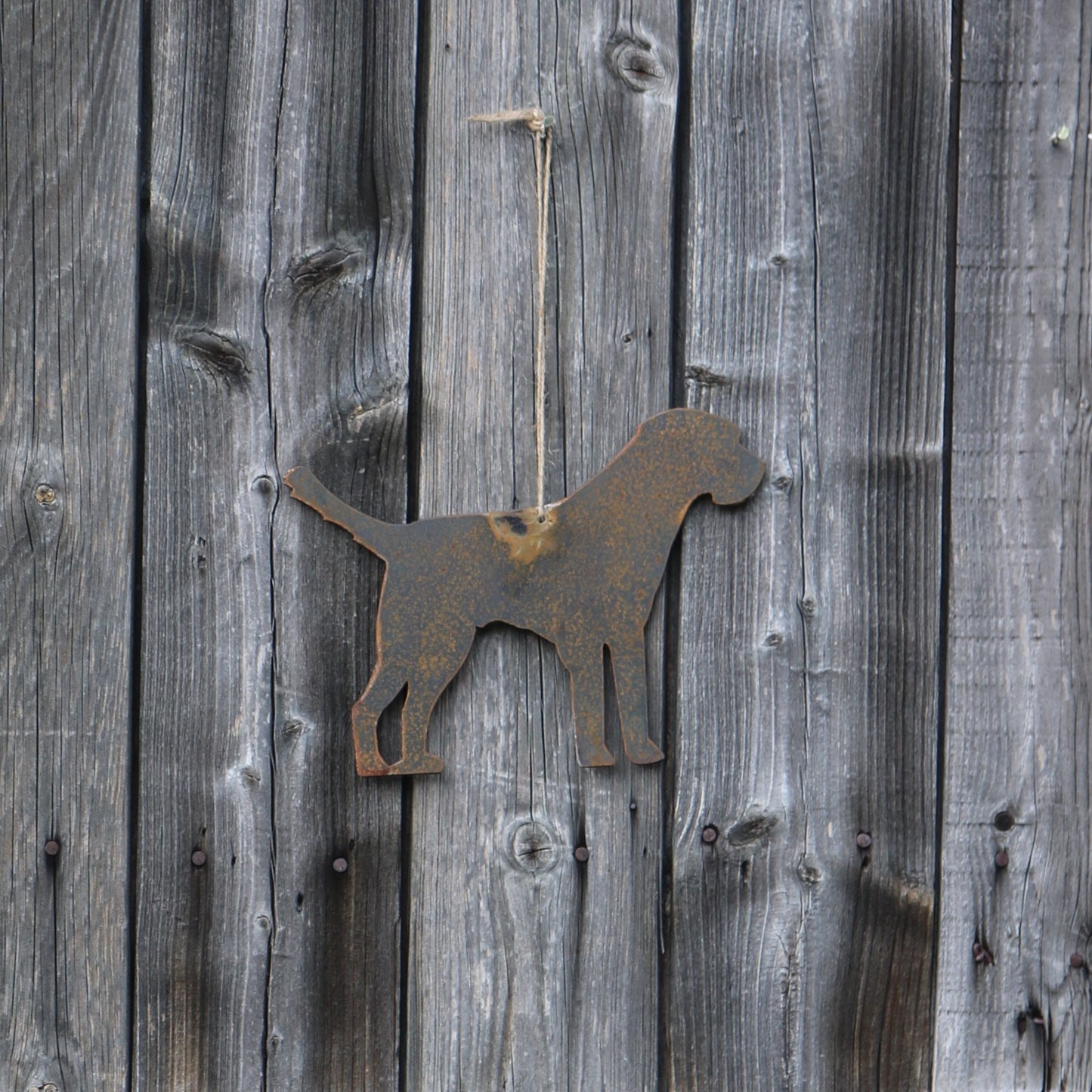 Hanging Border Terrier