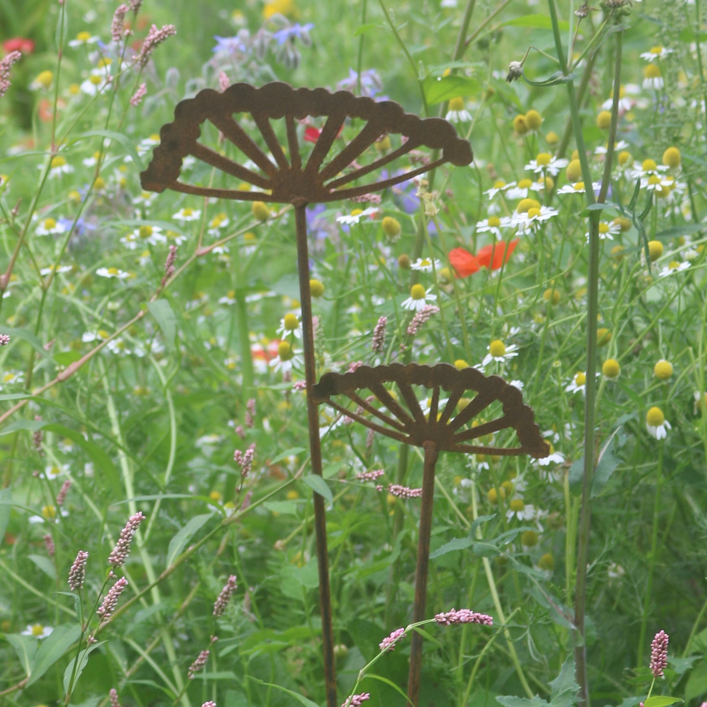 Cow Parsley On Spike- Set Of 2
