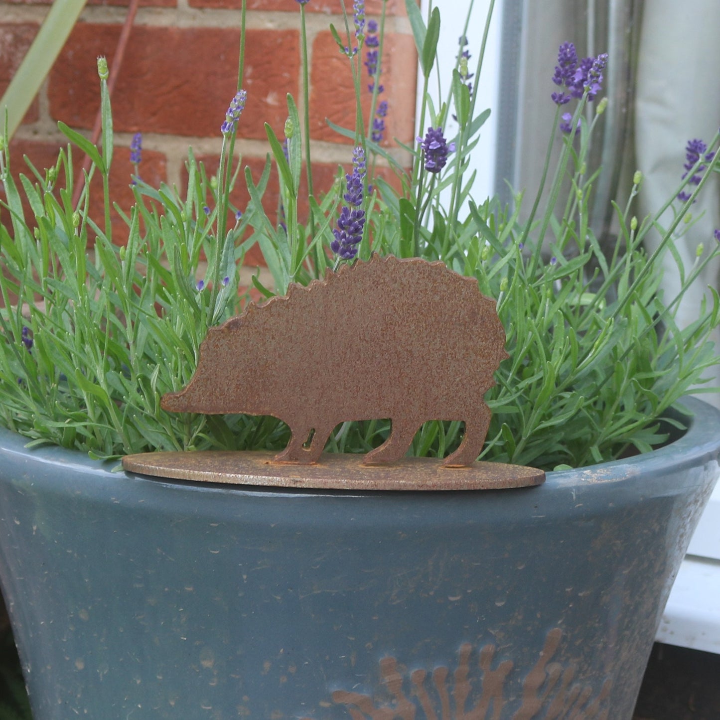 Baby Hedgehog Statue