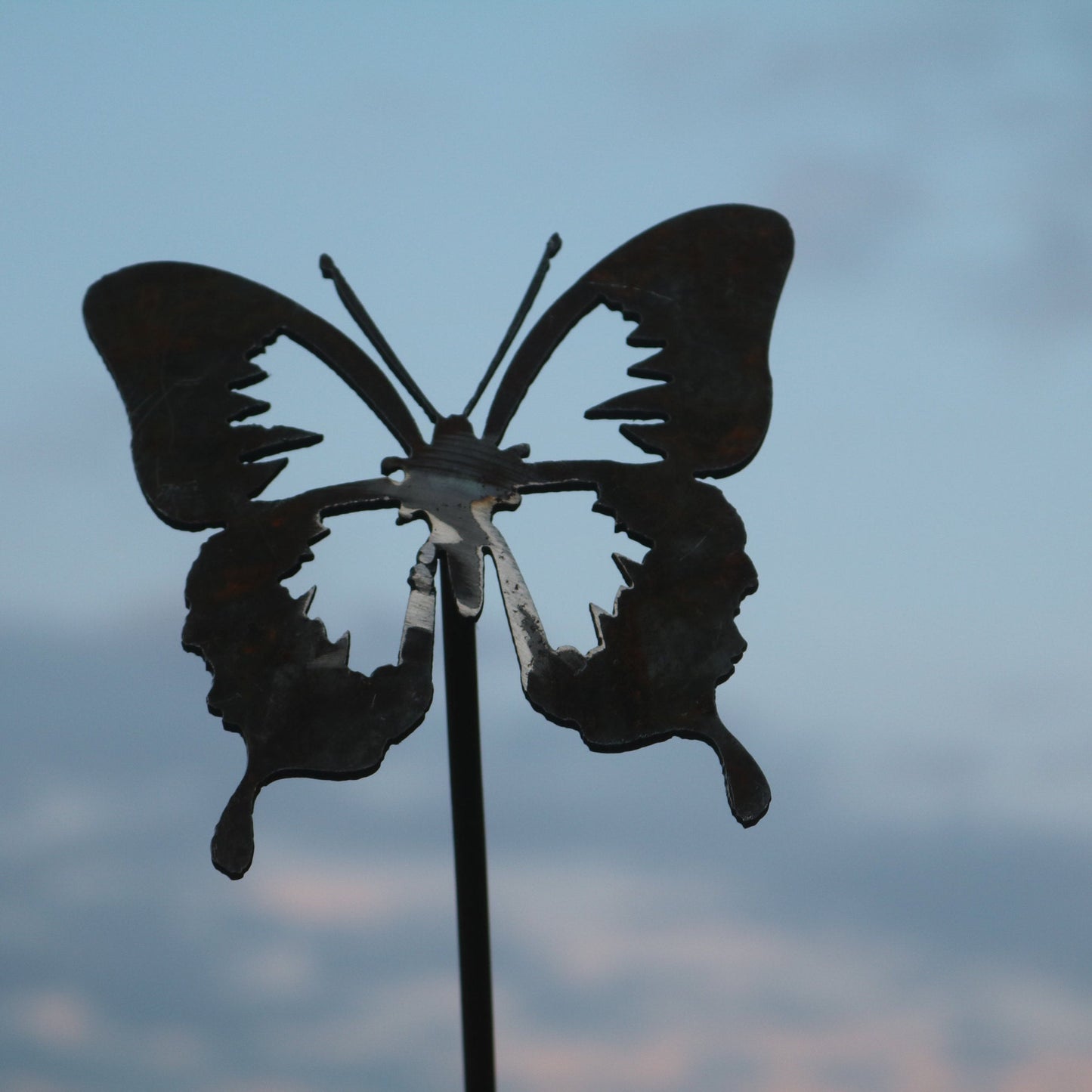 Butterfly On Spike