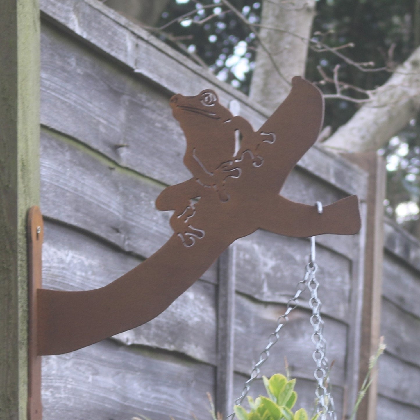 Tree Frog Wall Bracket