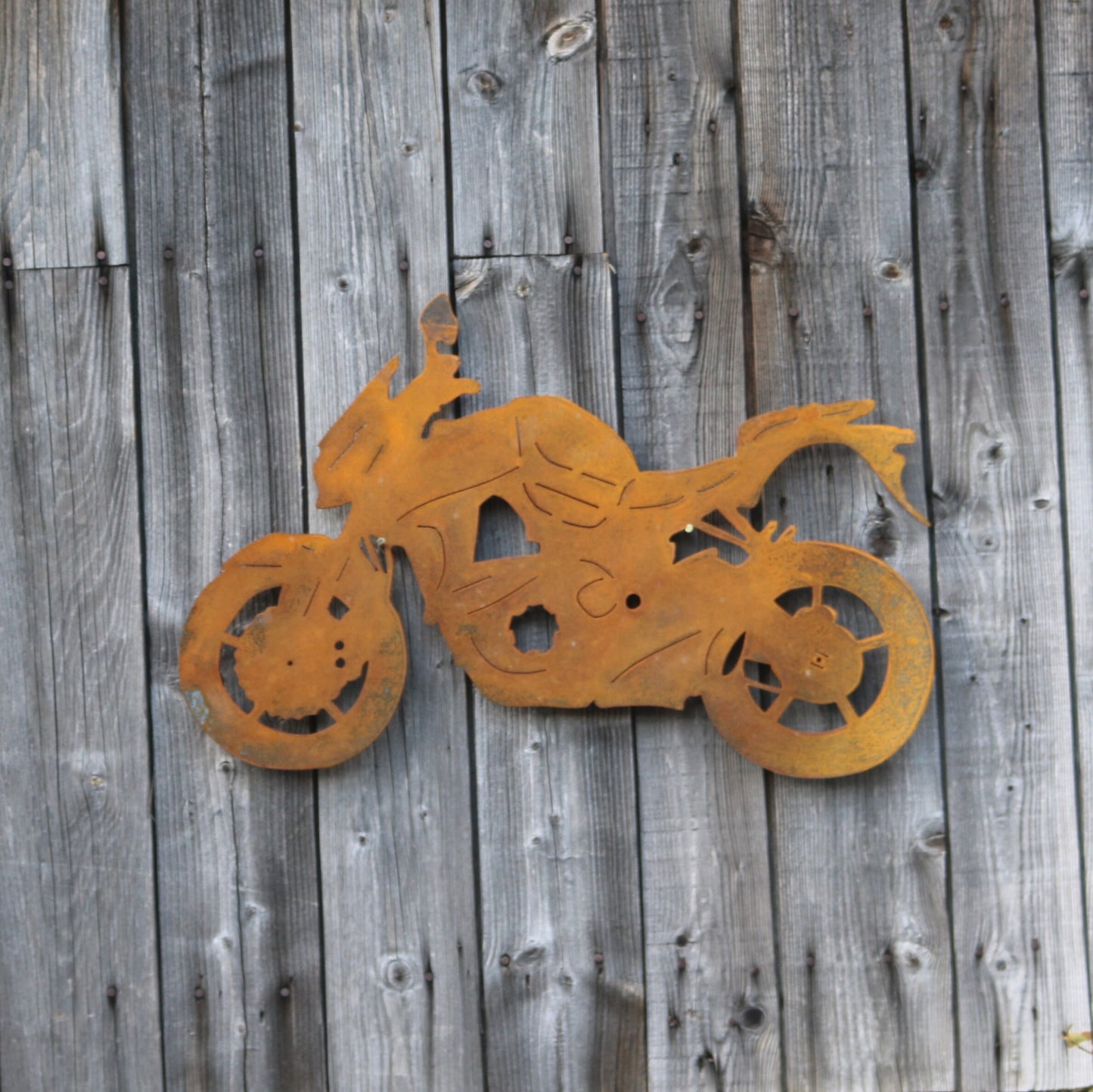 Kawasaki Z1000 Motorcycle Wall Art