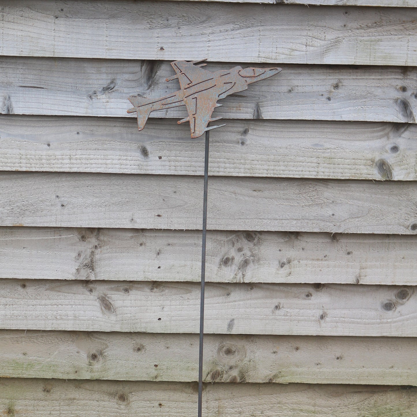 Harrier Aeroplane On Spike
