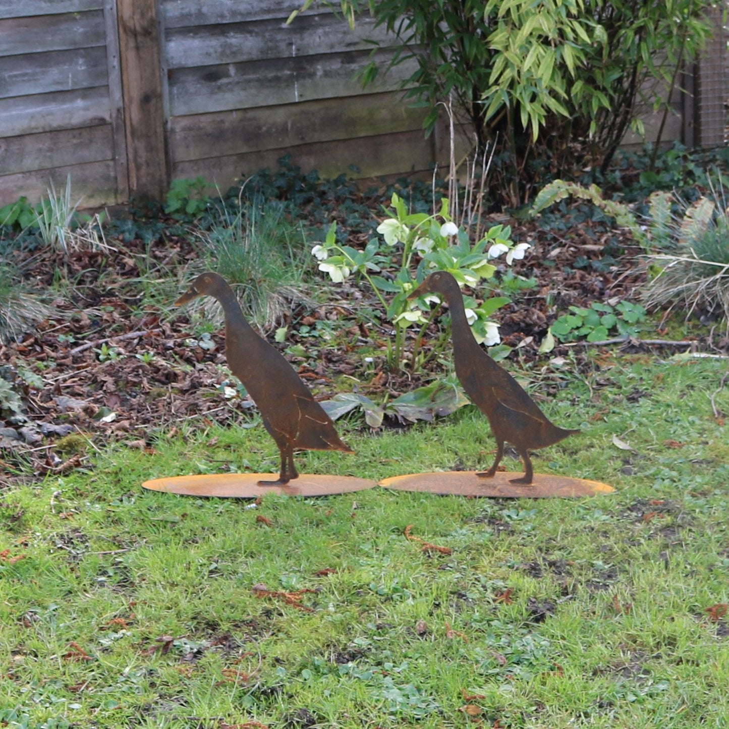 Runner Duck Statue- Standing