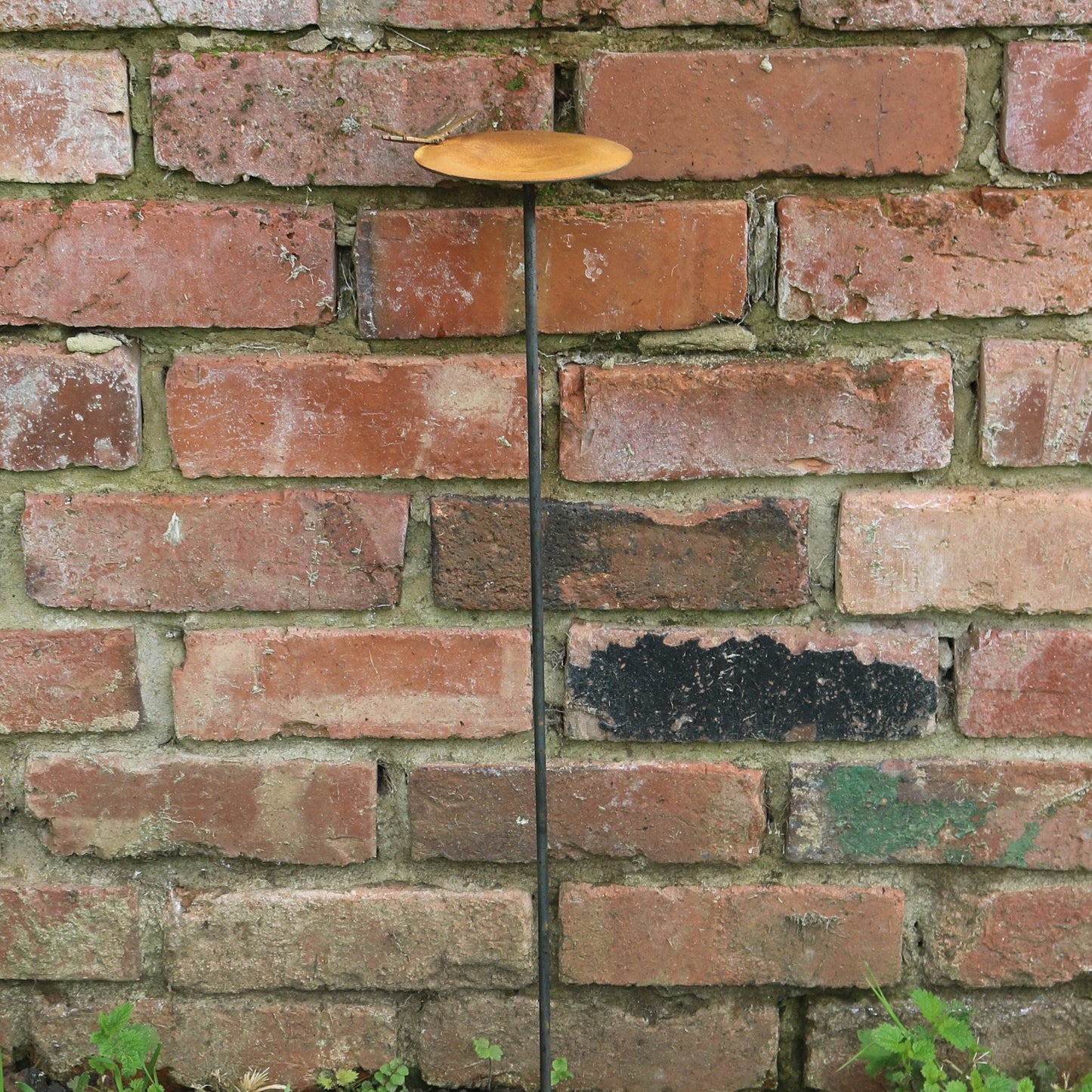 Corten Rain Catcher With Dragonfly On Spike