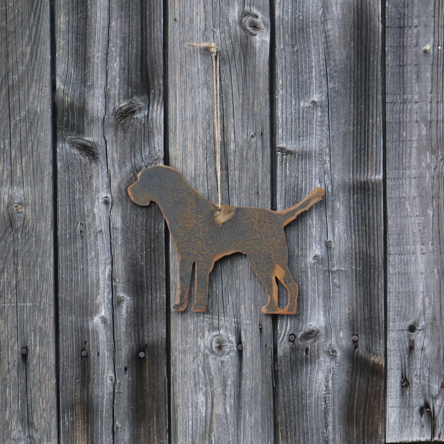 Hanging Border Terrier