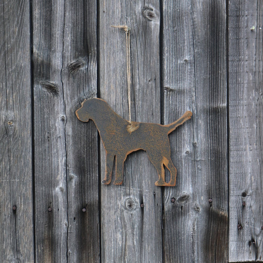 Hanging Border Terrier