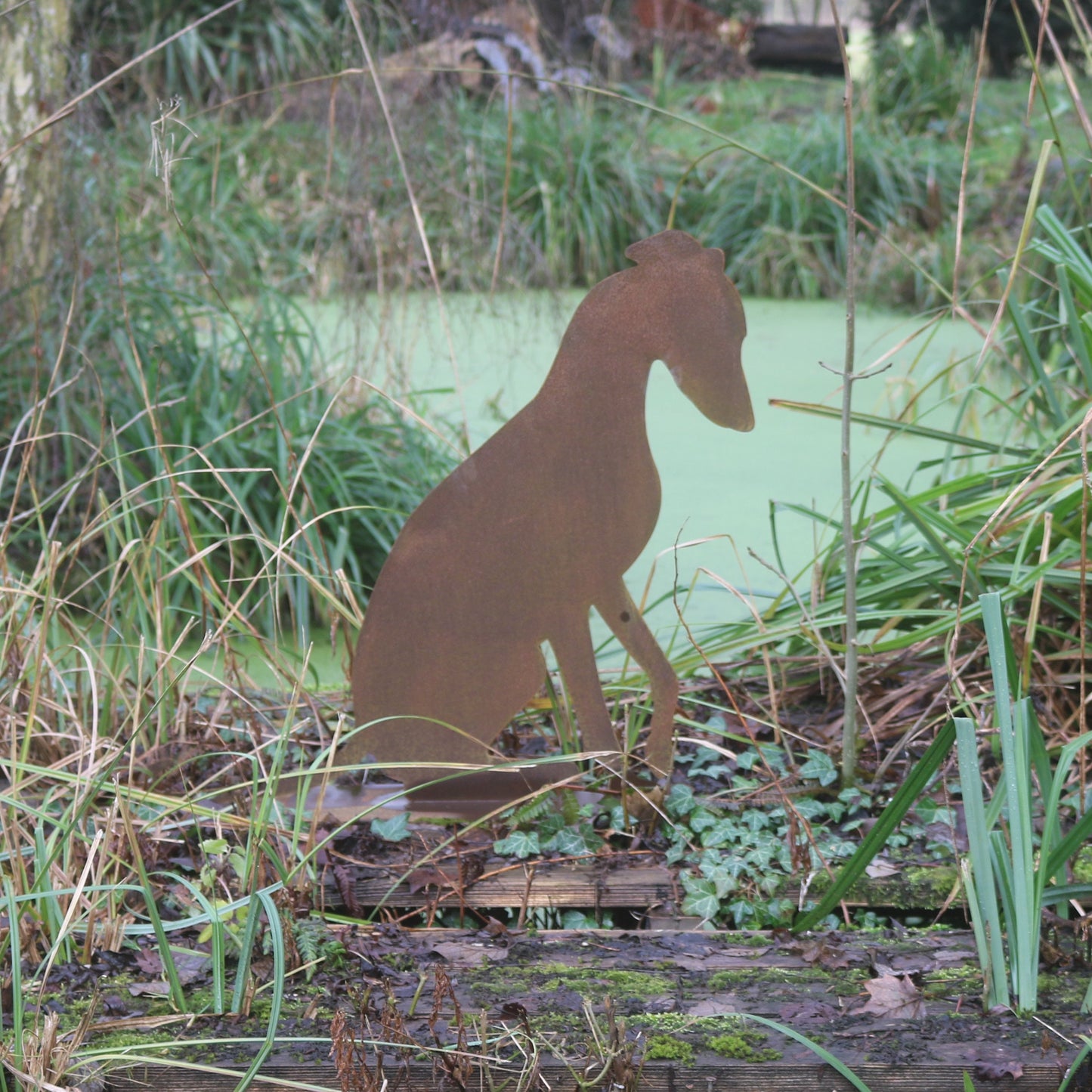 Life Size Greyhound, Whippet, Lurcher Statue