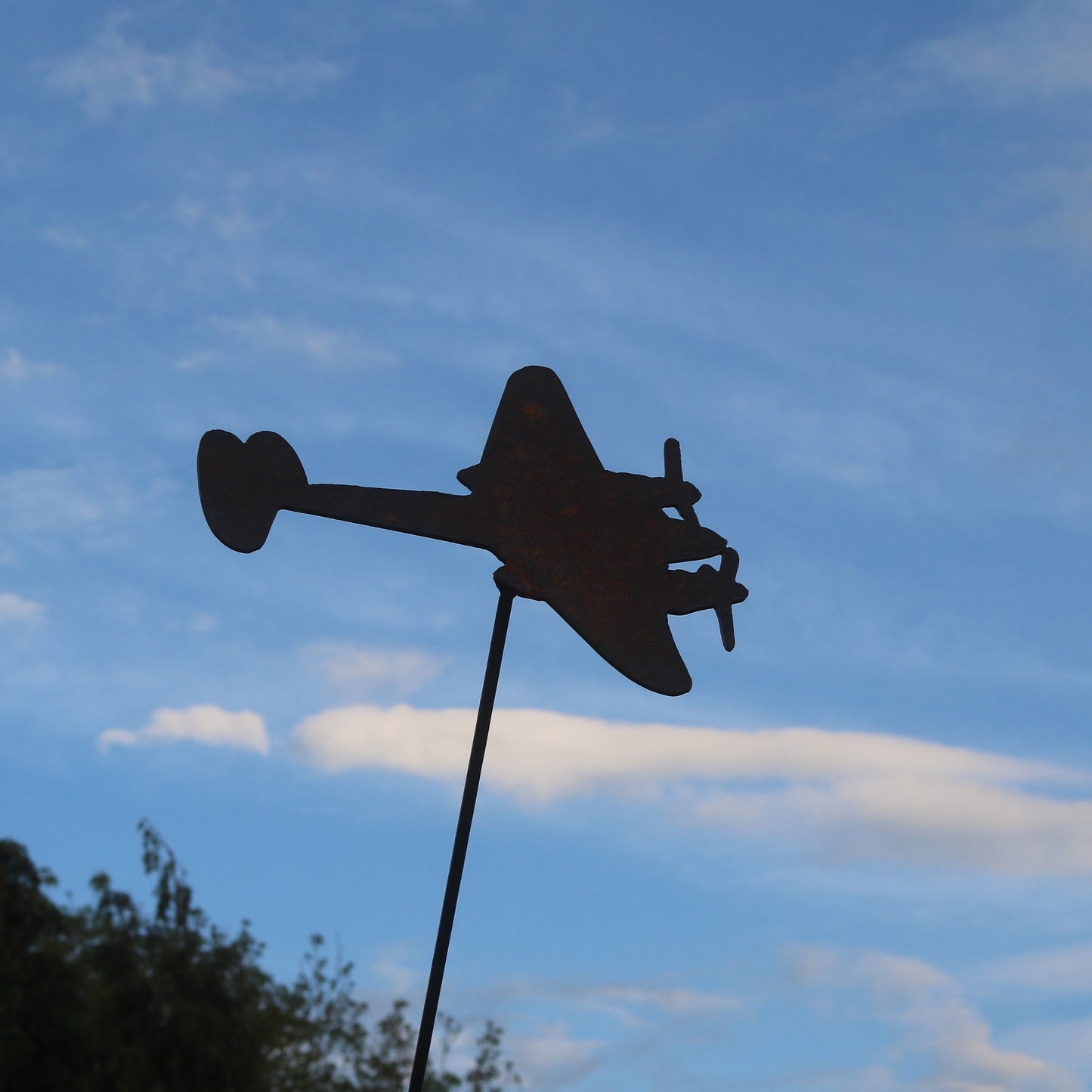 Mosquito Aeroplane On Spike