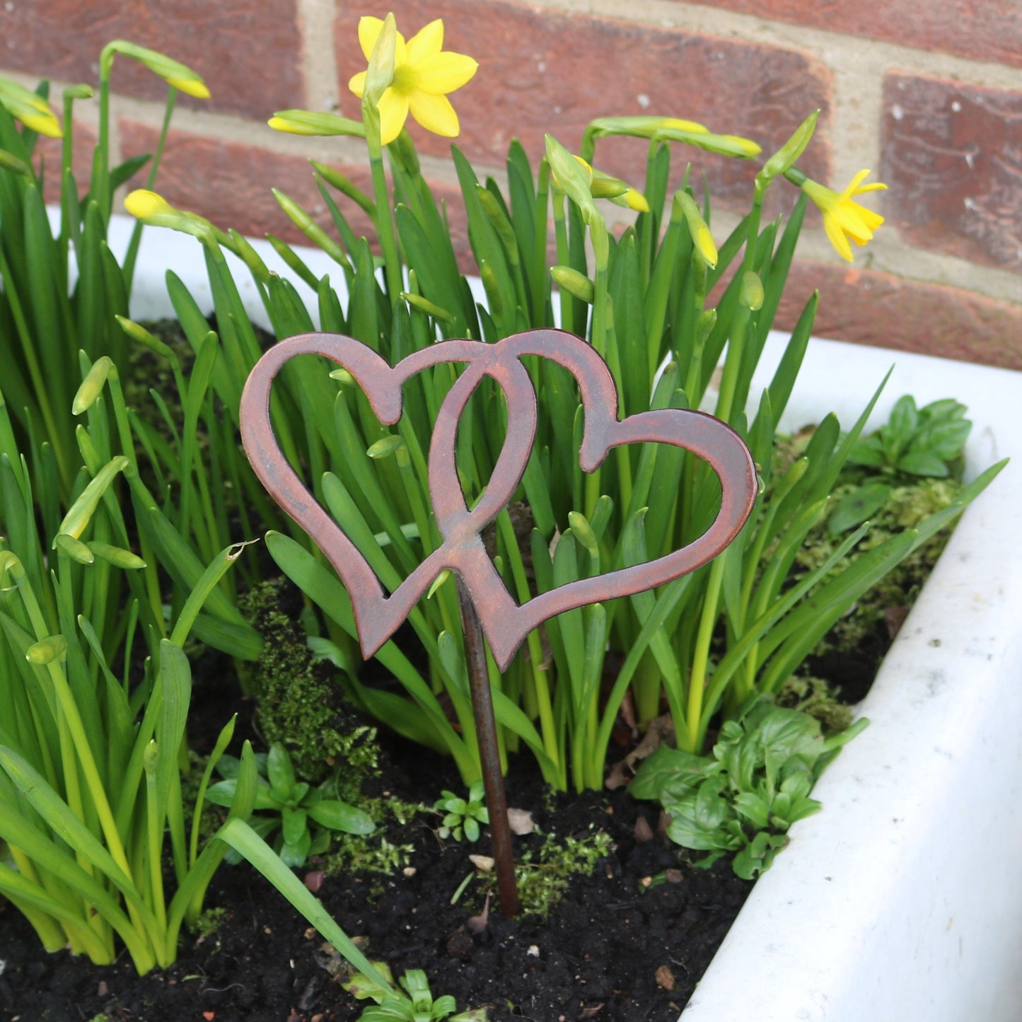 Entwined Hearts Plant Pot Decoration