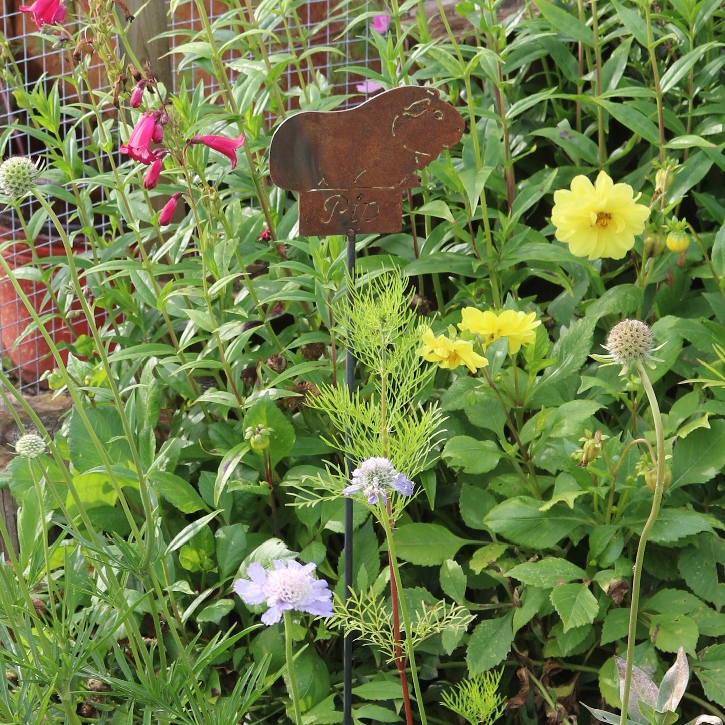 Personalised Guinea Pig On Spike