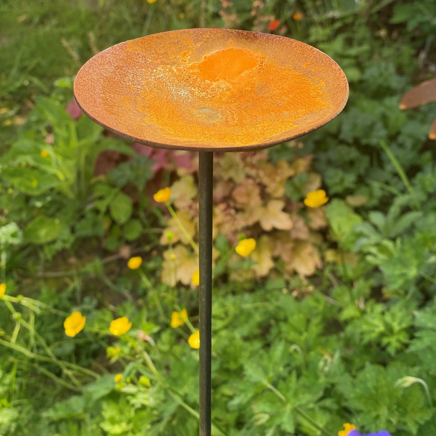 Rain Catcher On Spike