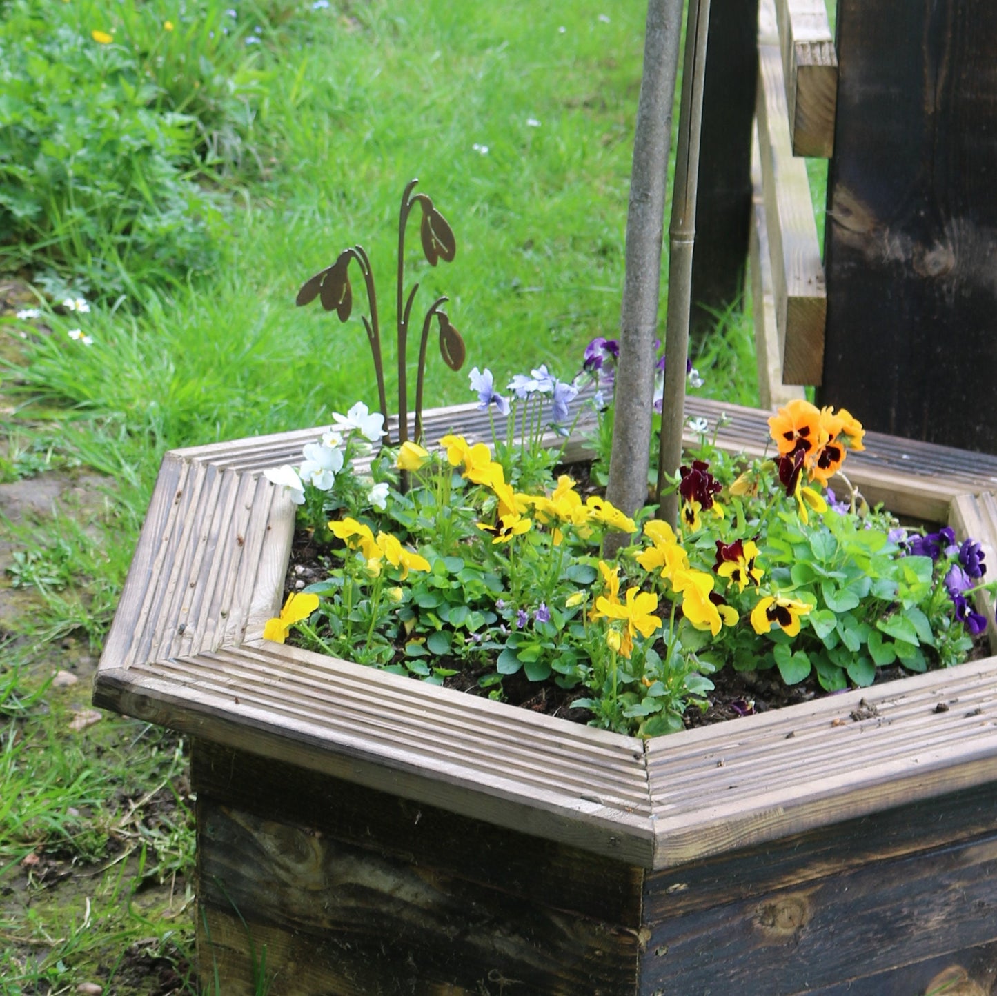 Snowdrops Plant Pot Decoration