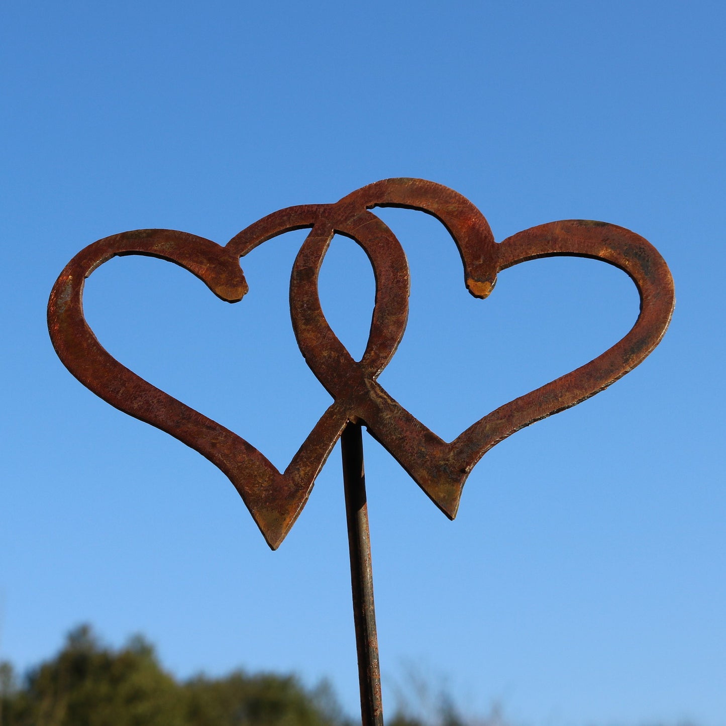 Entwined Hearts On Spike