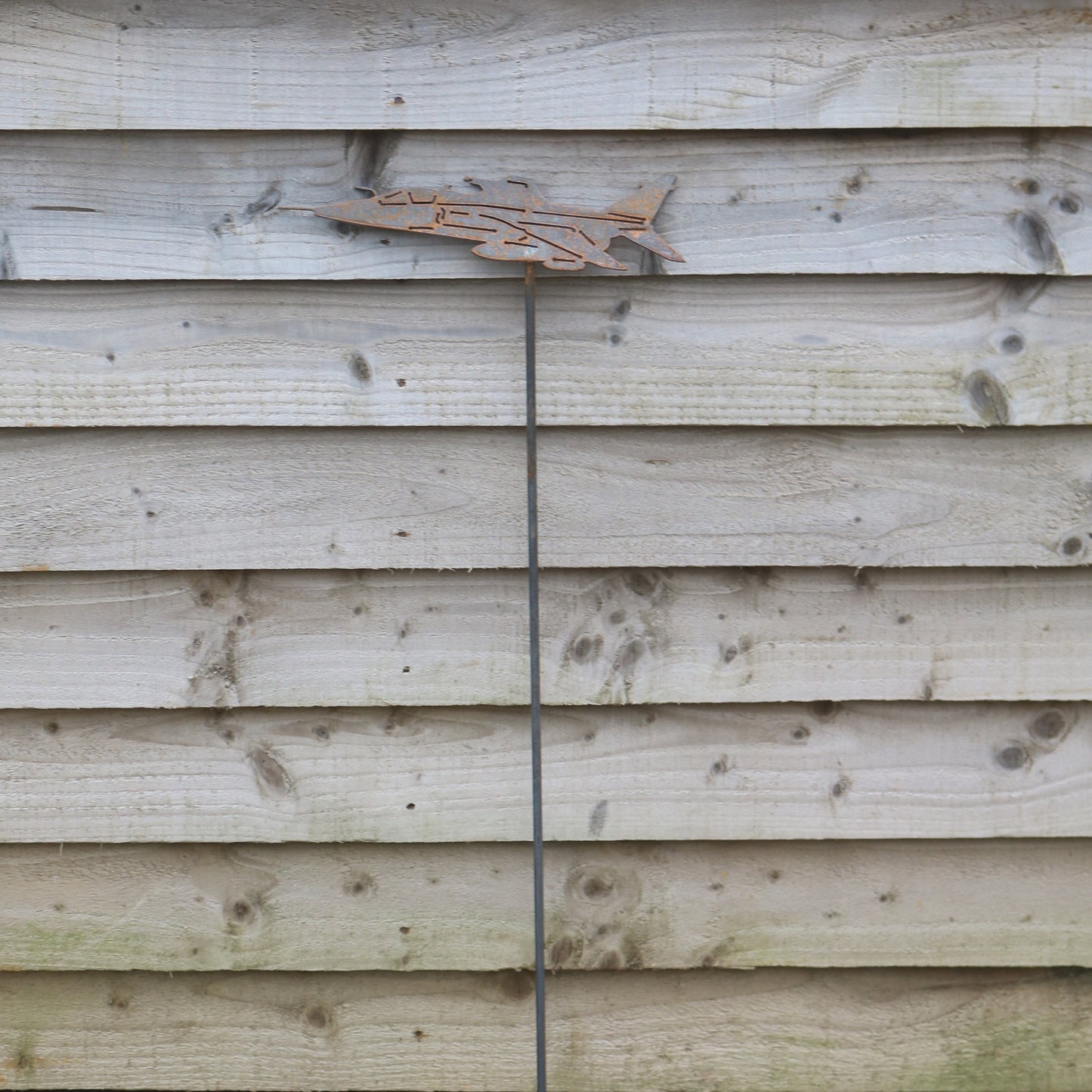 Jaguar Aeroplane On spike