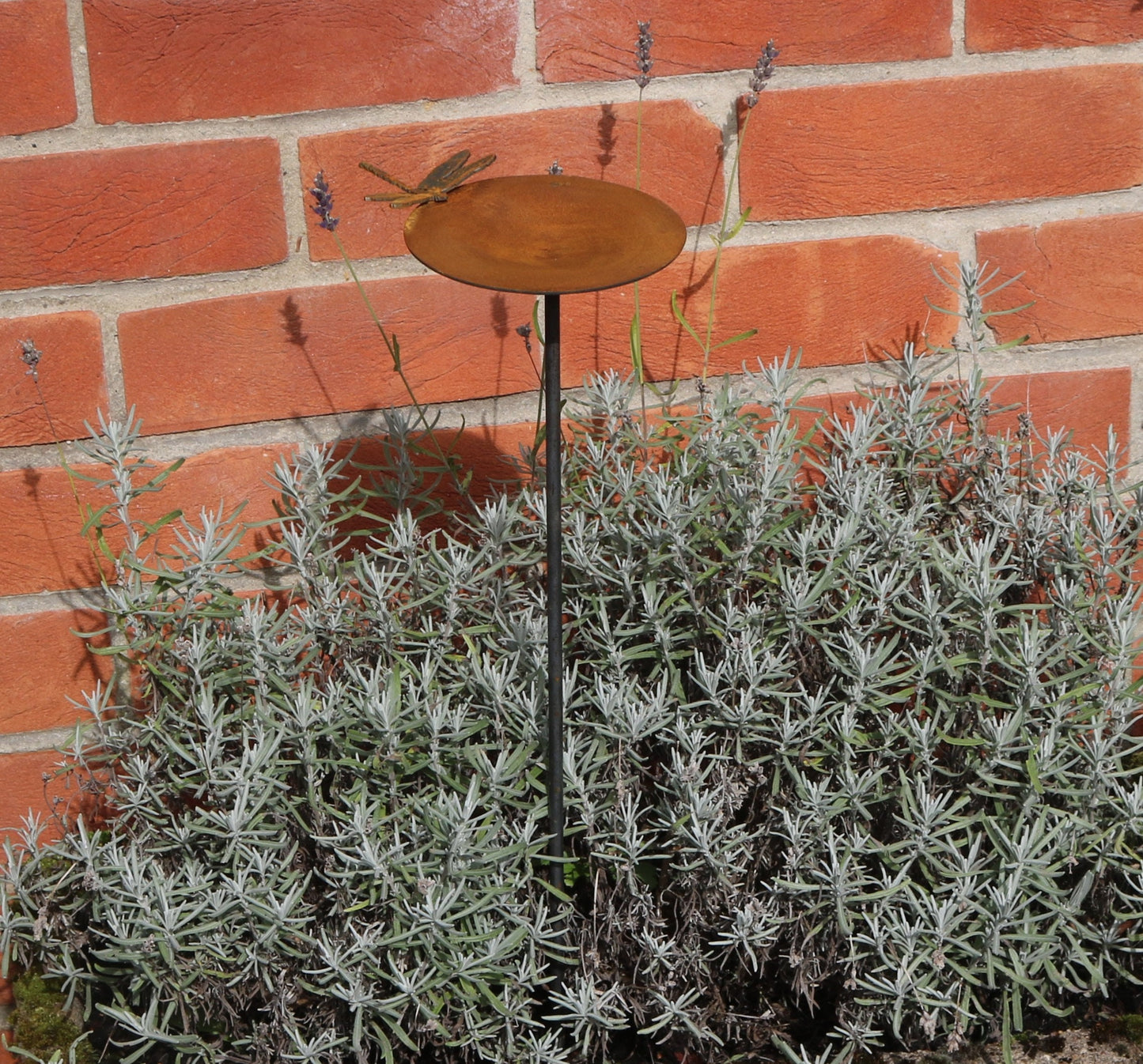 Corten Rain Catcher With Dragonfly On Spike