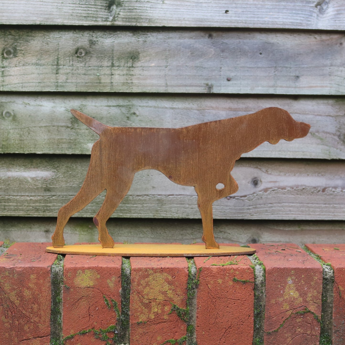 Hungarian Vizsla/Pointer 'Hugo' Statue