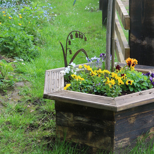 Bluebell Plant Pot Decoration