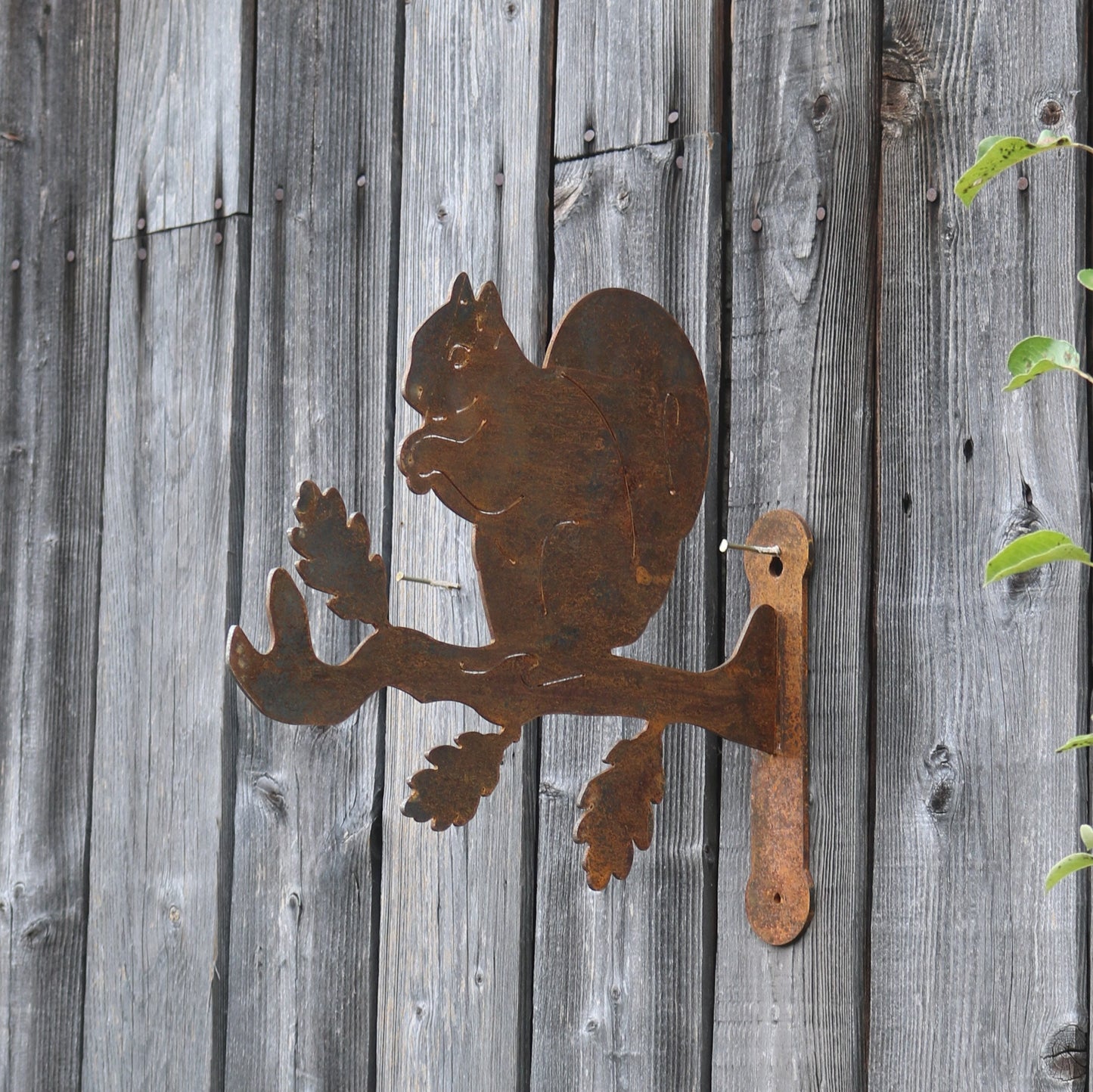 Squirrel Wall Bracket