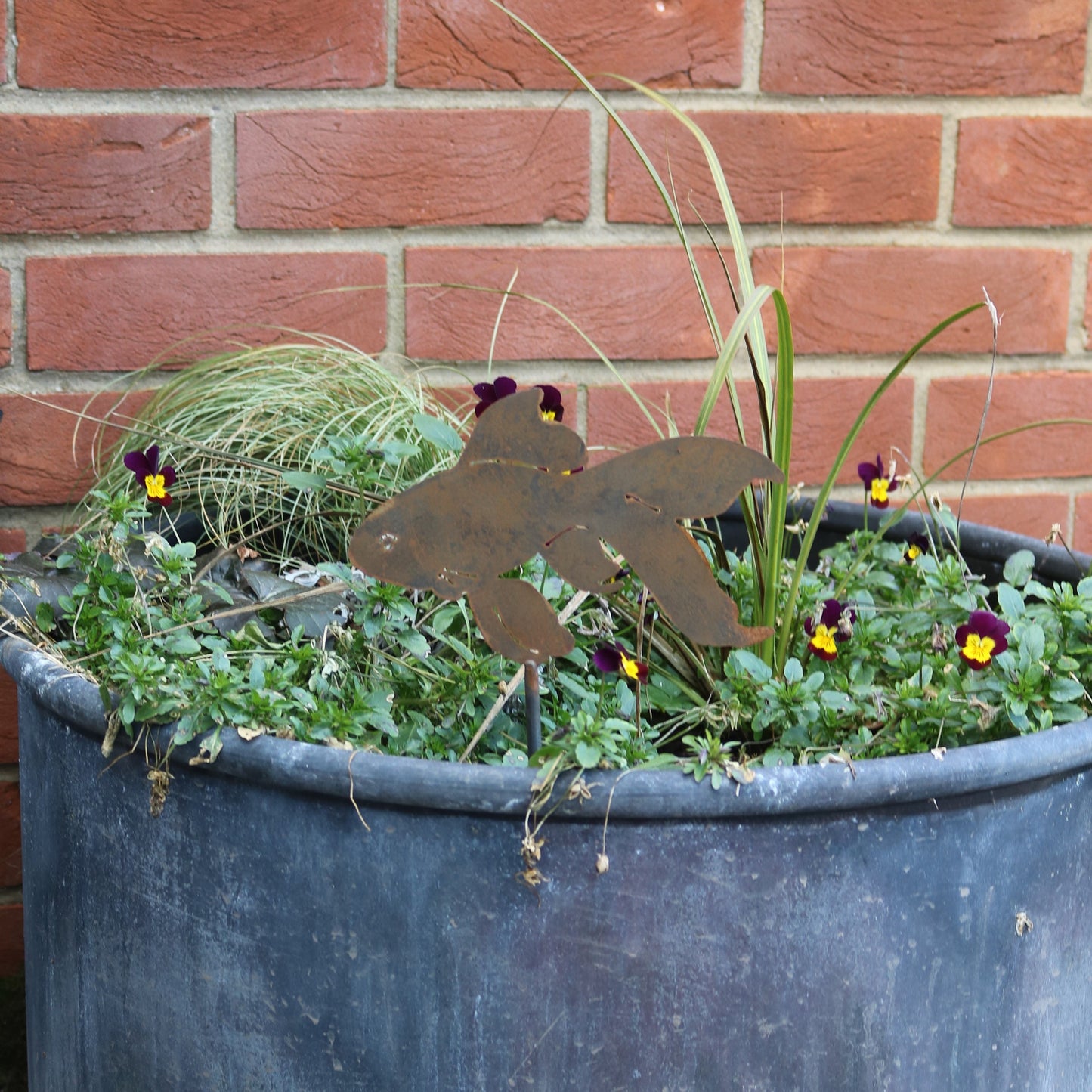 Goldfish Plant Pot Decoration