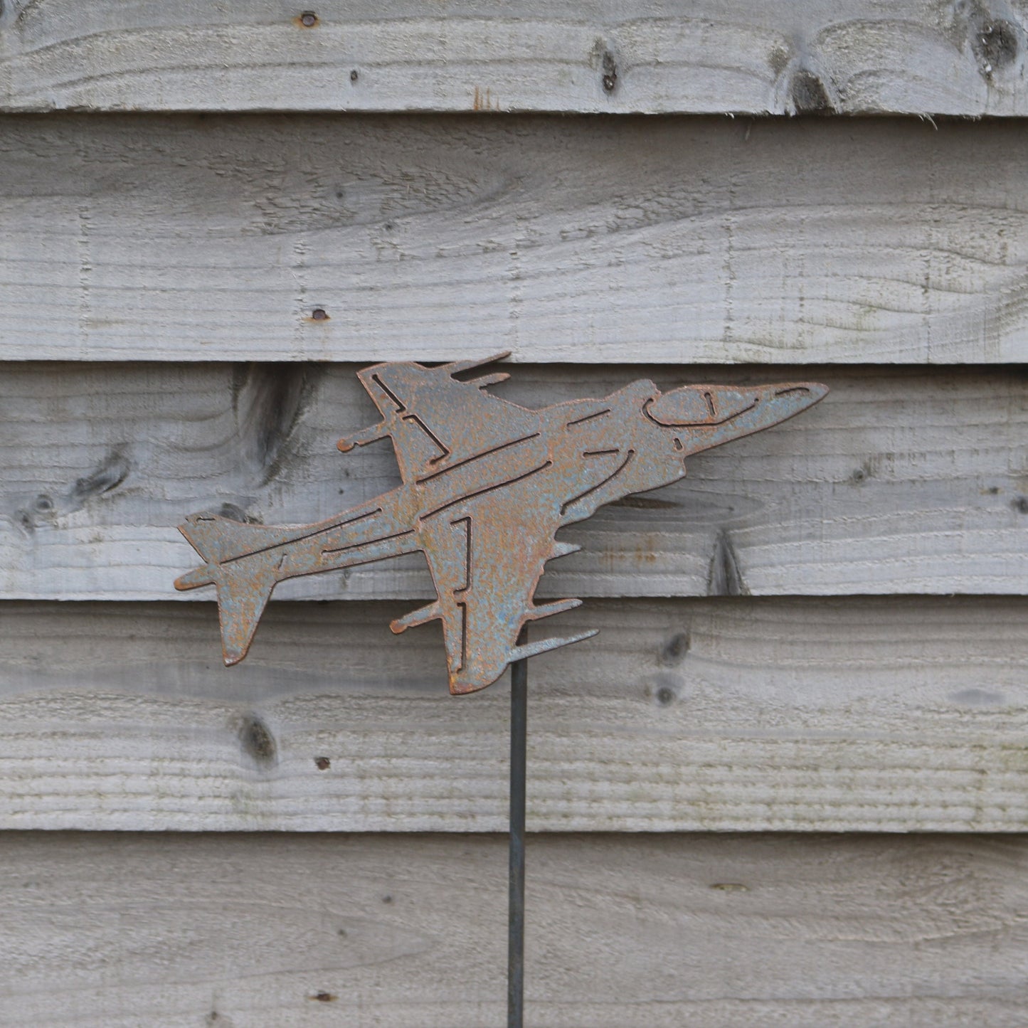 Harrier Aeroplane On Spike