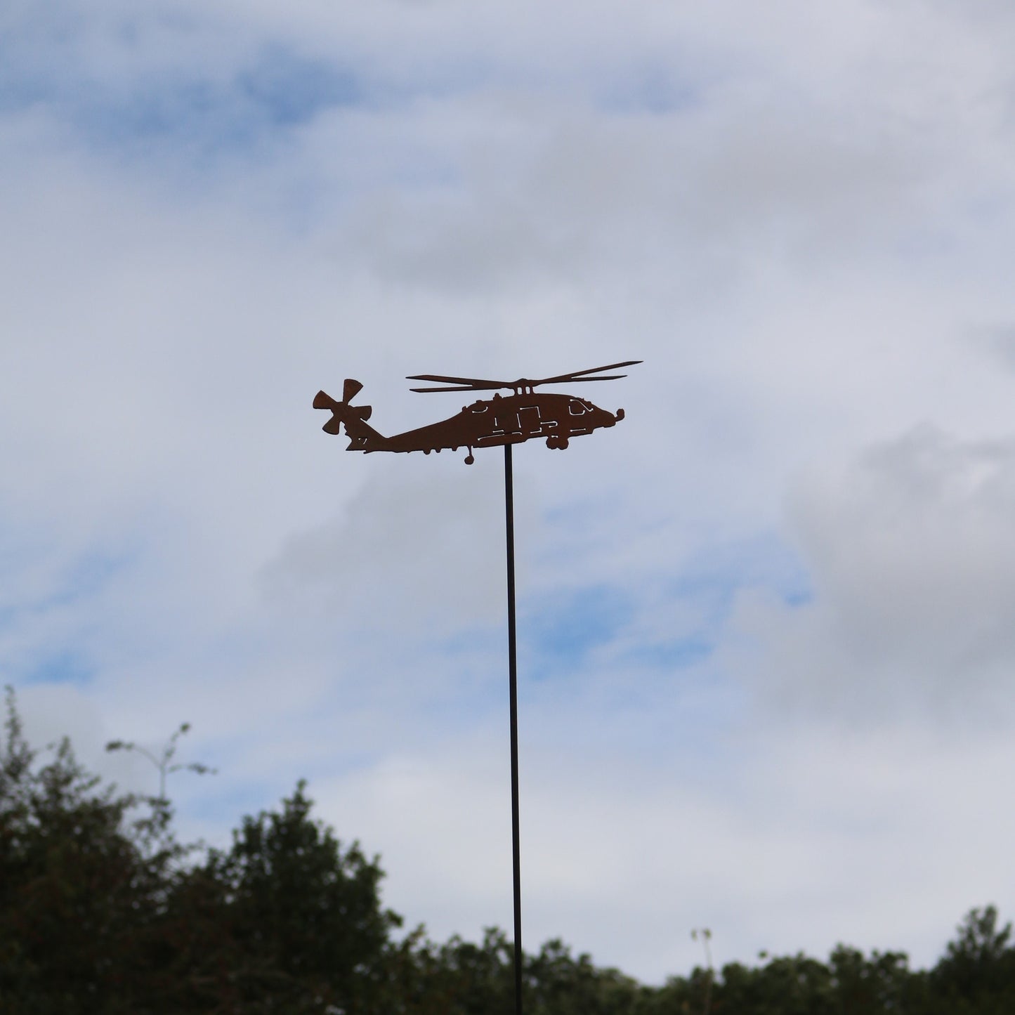 Sea Hawk Helicopter On Spike