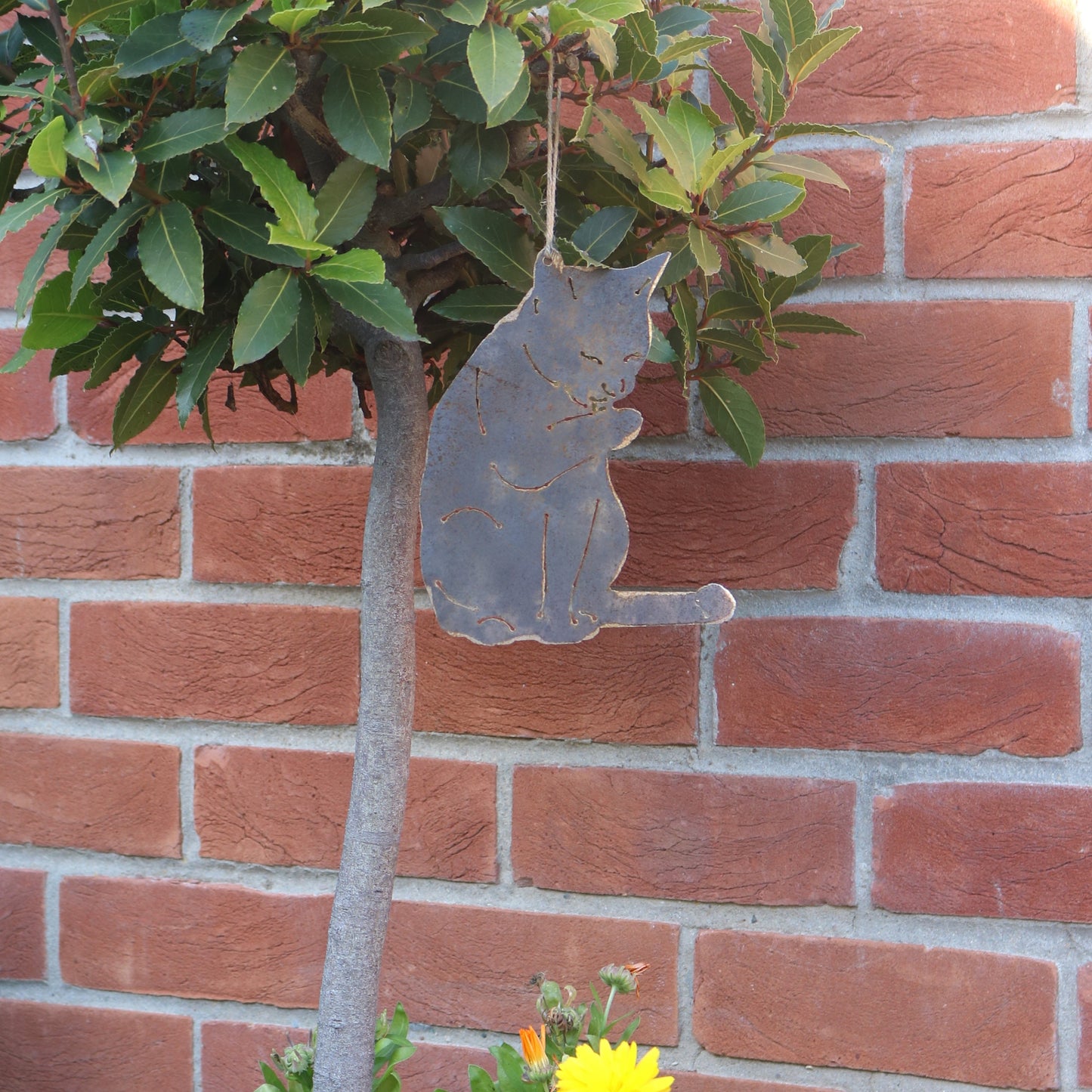 Hanging Cat Licking Paw