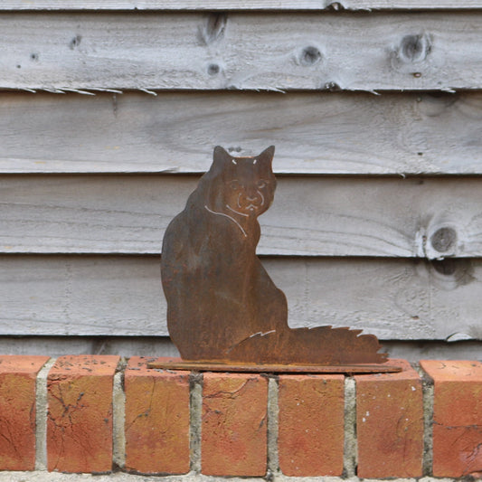 Maine Coon Cat Statue- Sitting