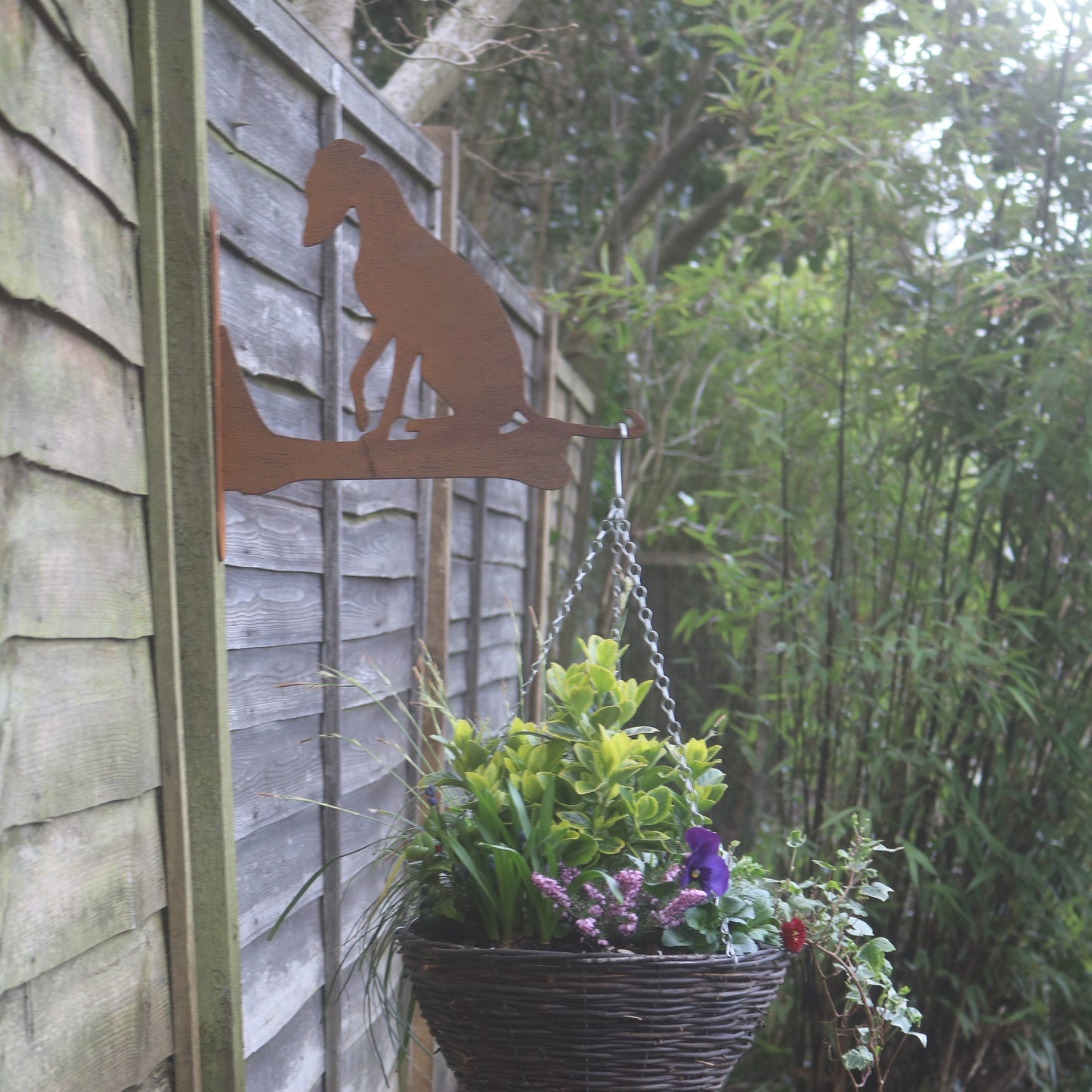 Greyhound, Whippet, Lurcher Wall Bracket