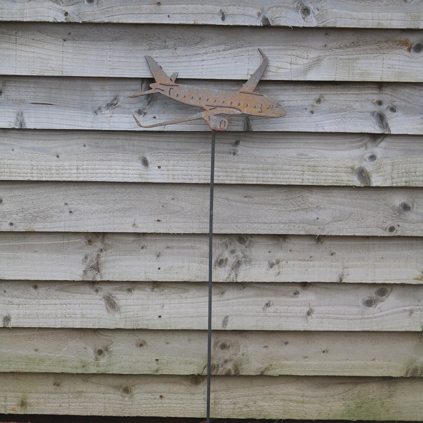 Airbus A320 Aeroplane On Spike